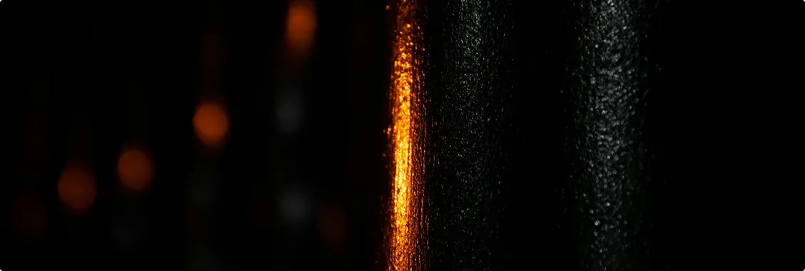 Preprints.org 10th Anniversary