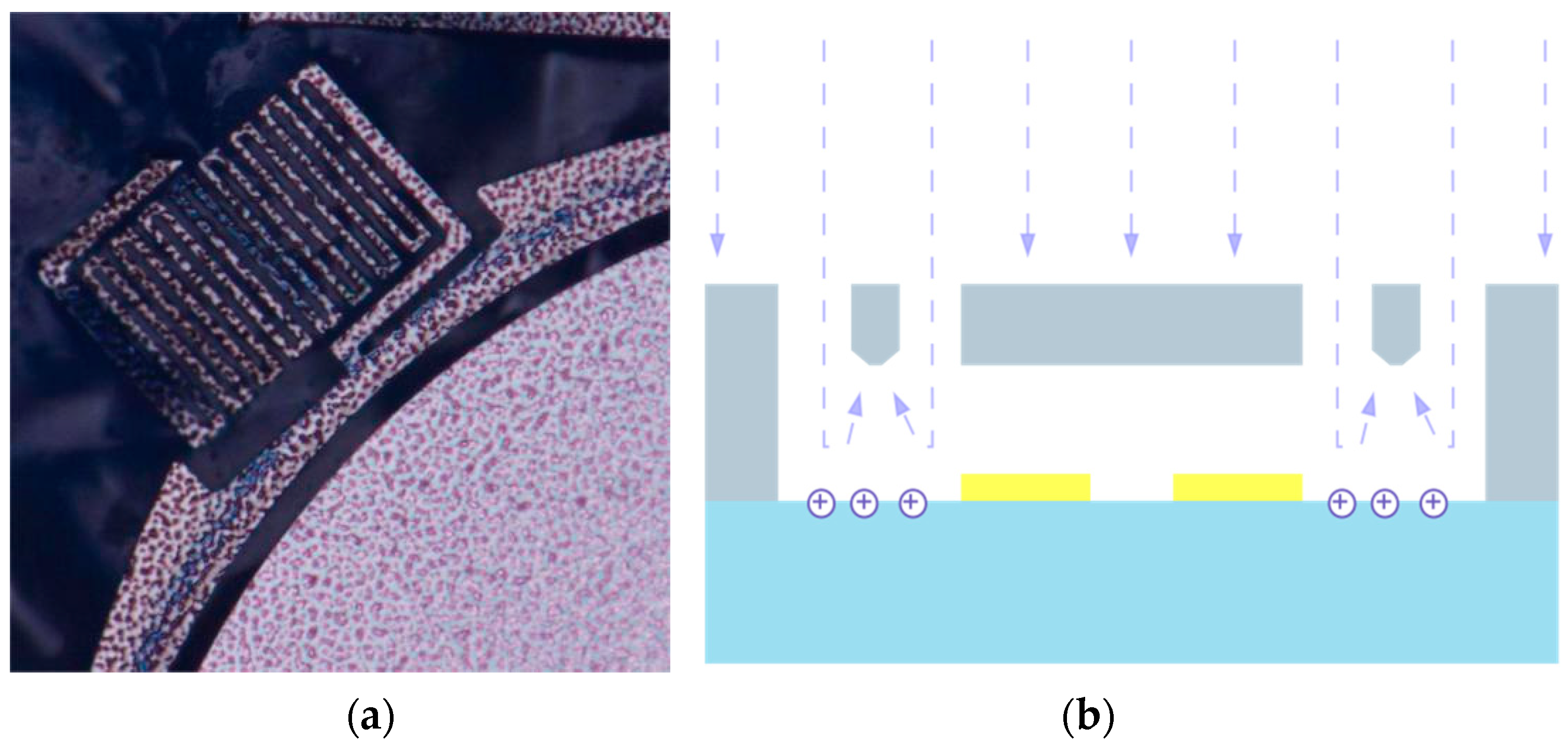 Preprints 80369 g009