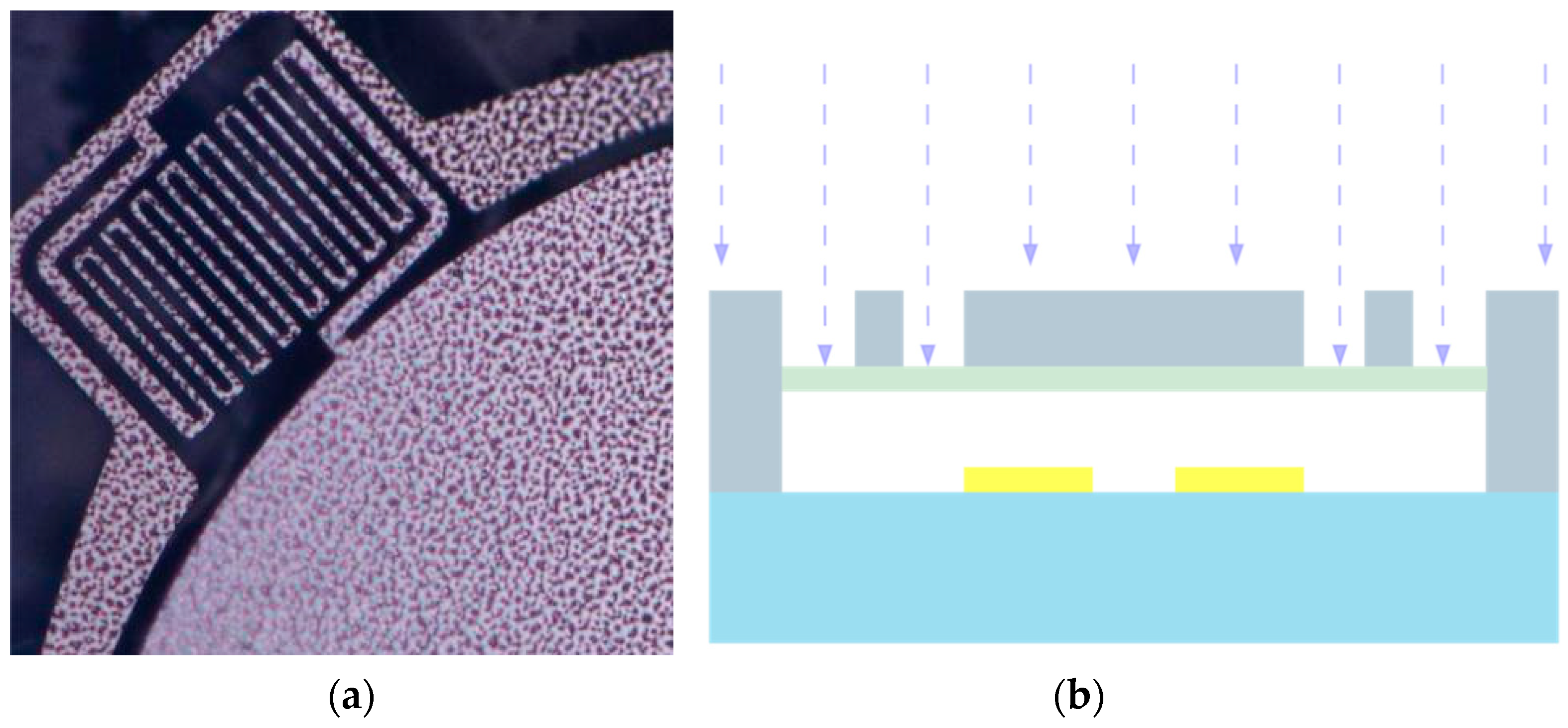 Preprints 80369 g010