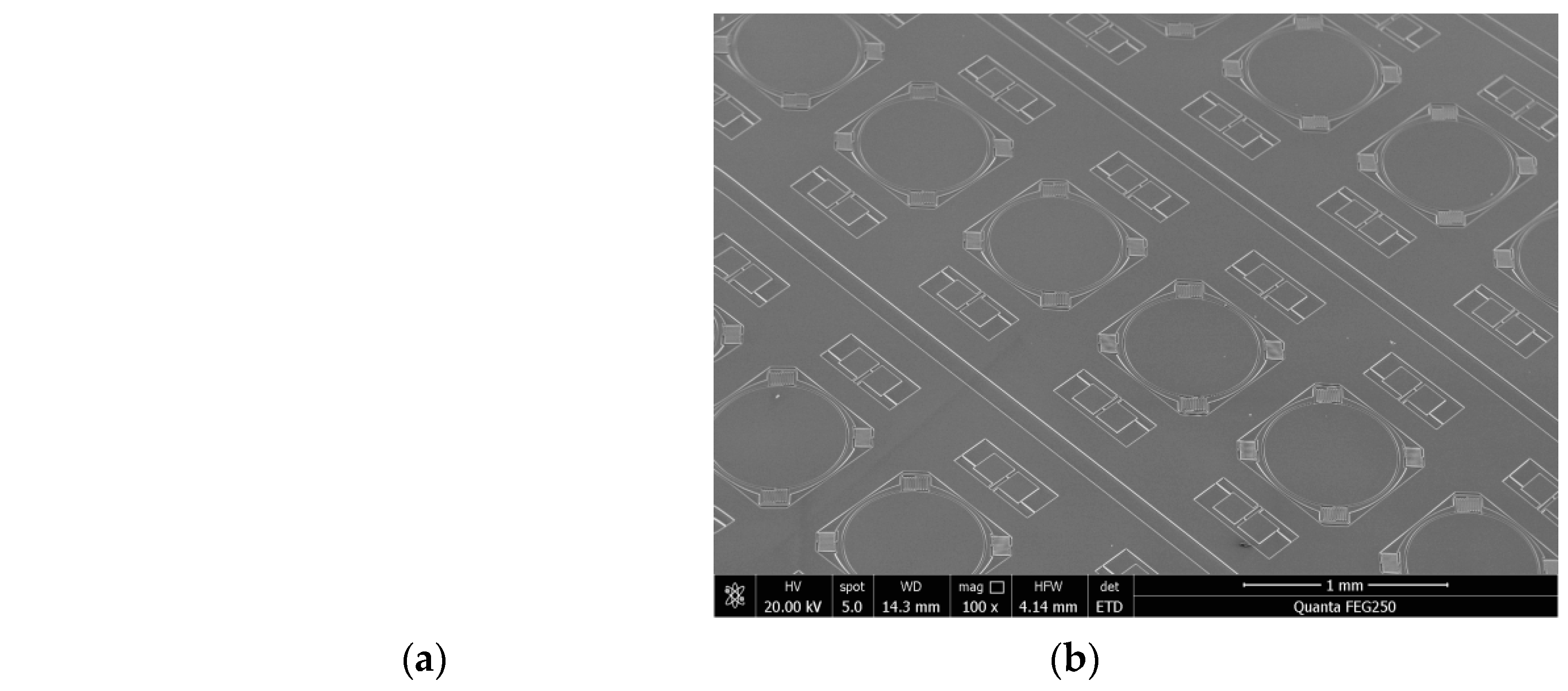 Preprints 80369 g011