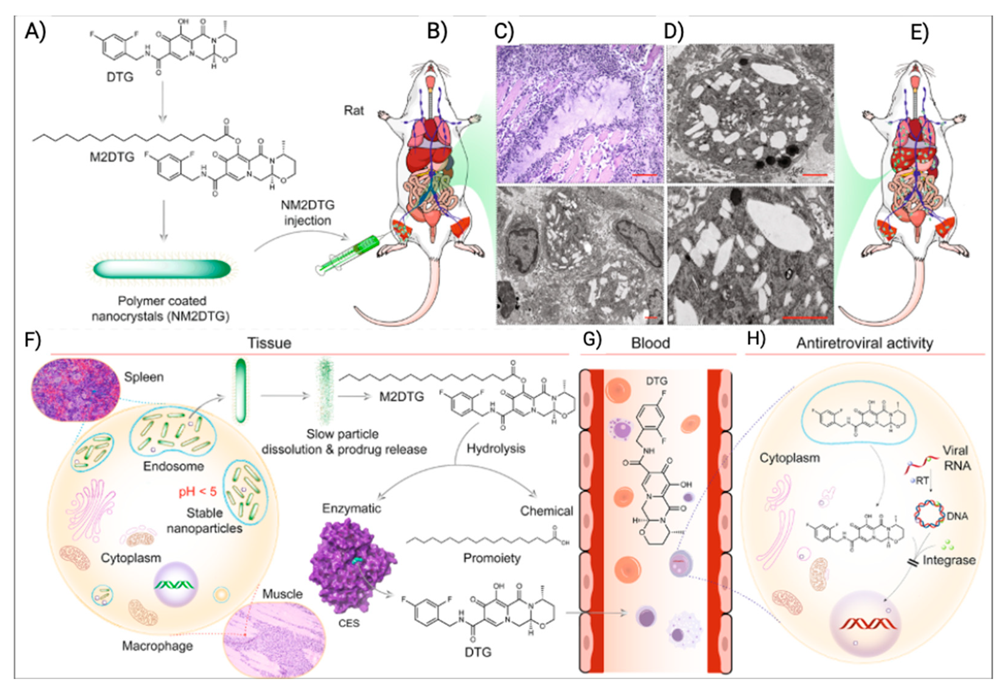 Preprints 96912 g007