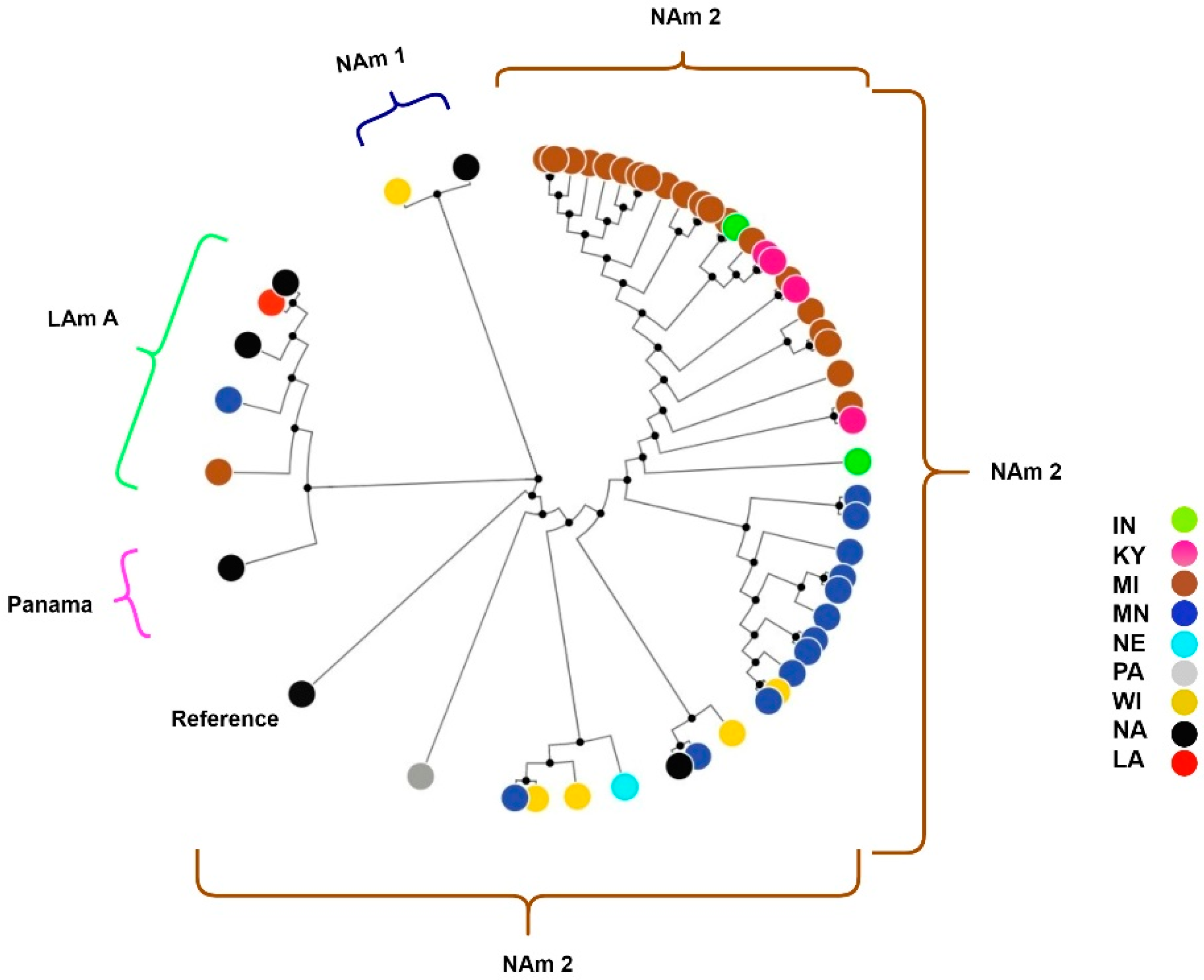 Preprints 81429 g001