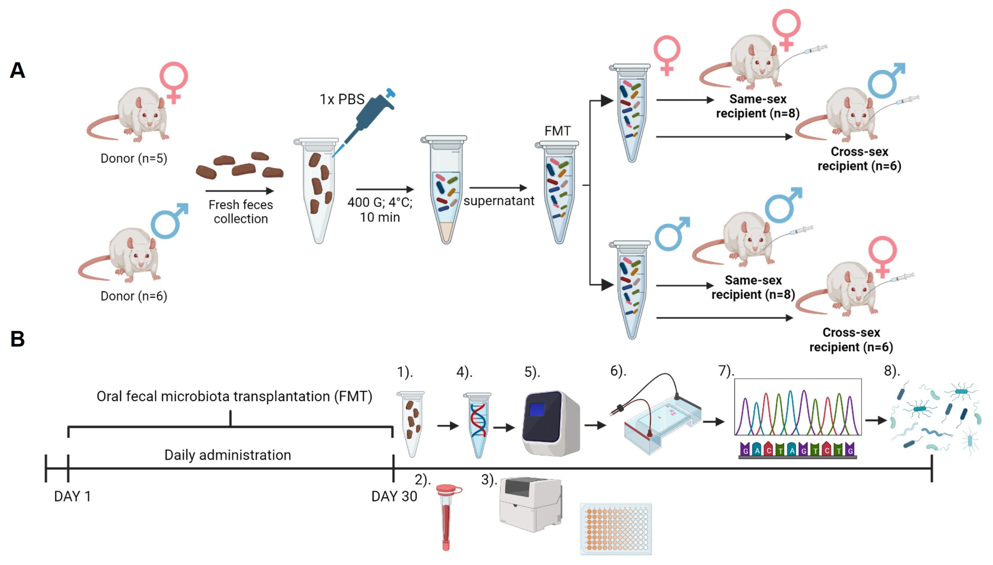 Preprints 92036 g004