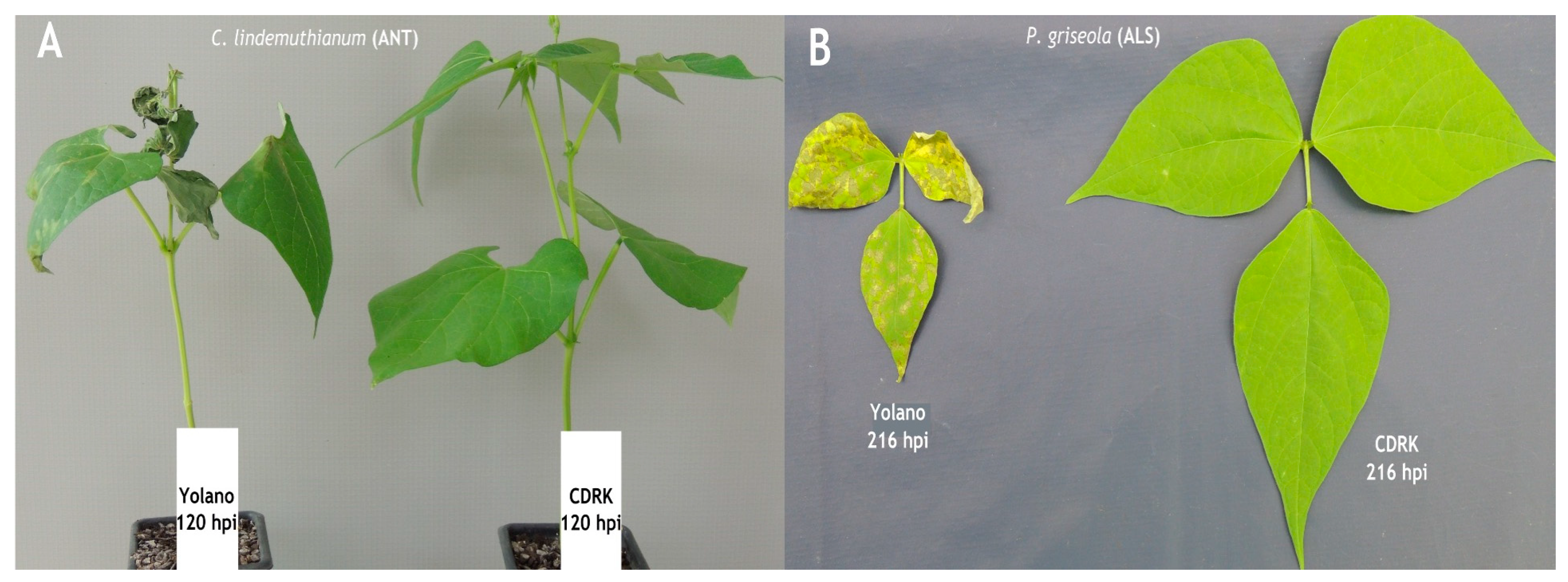 Preprints 83914 g001