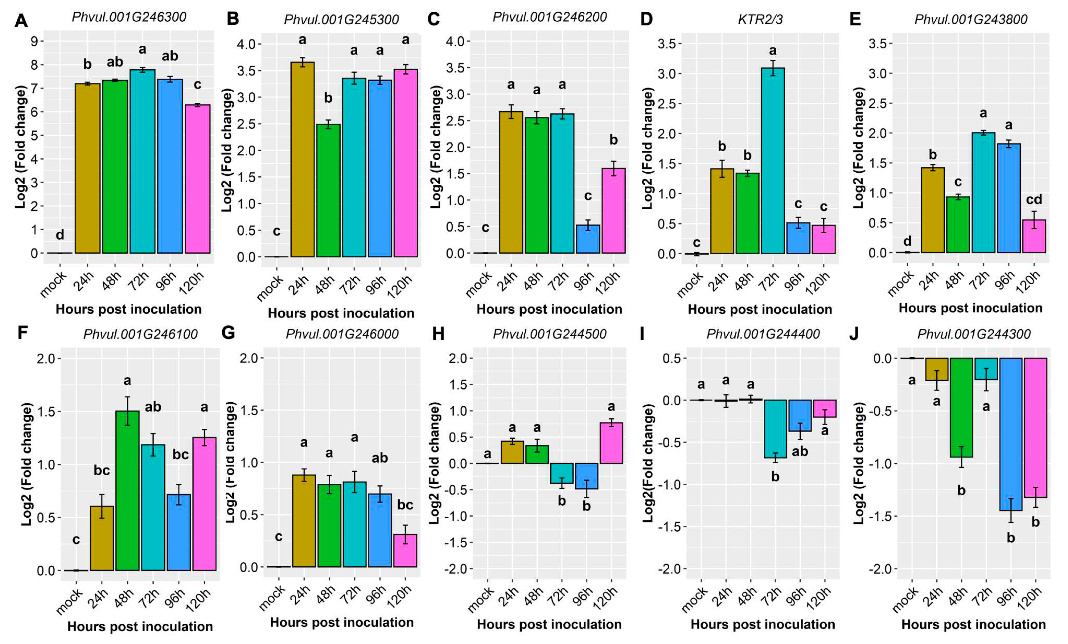 Preprints 83914 g002