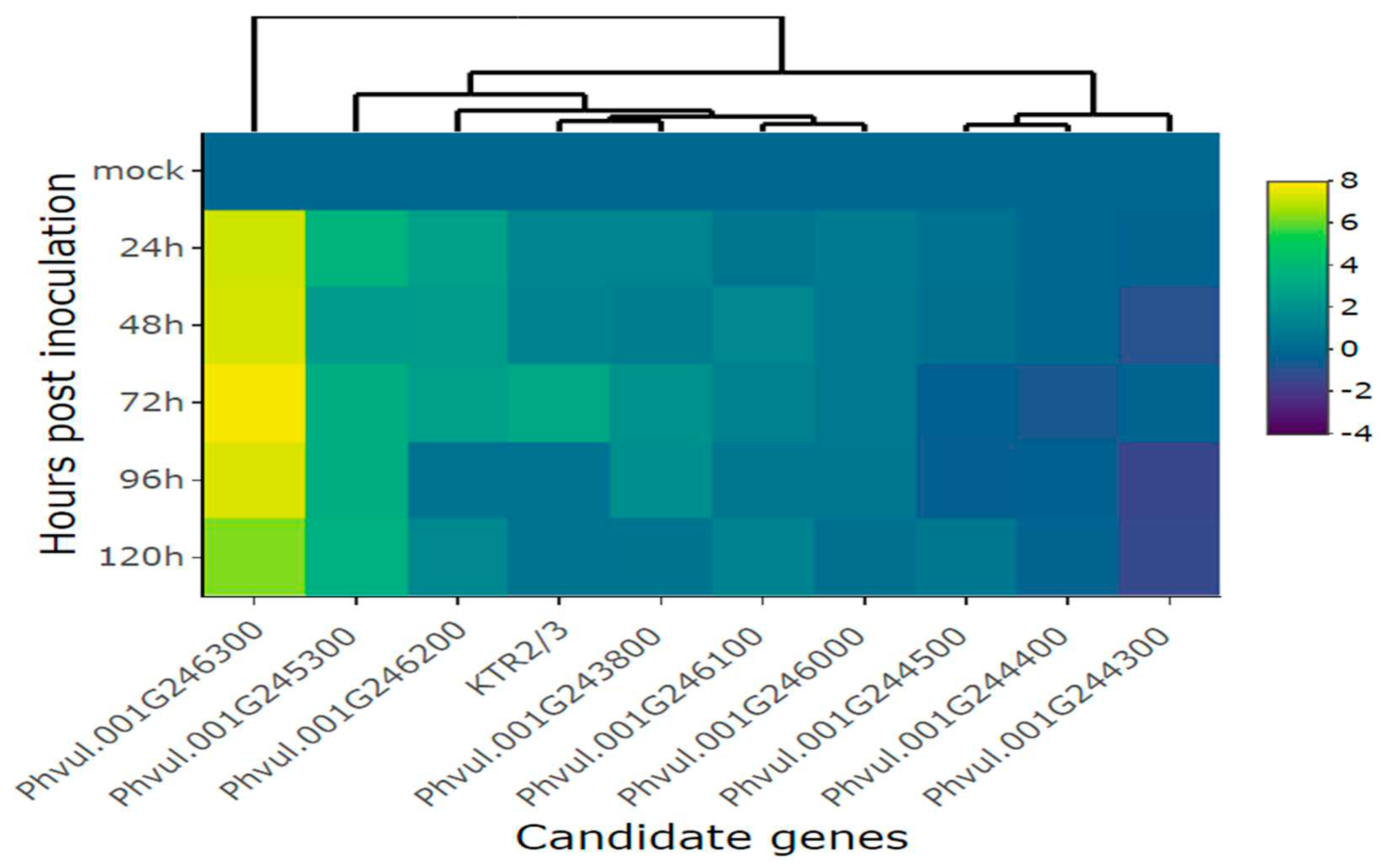 Preprints 83914 g003