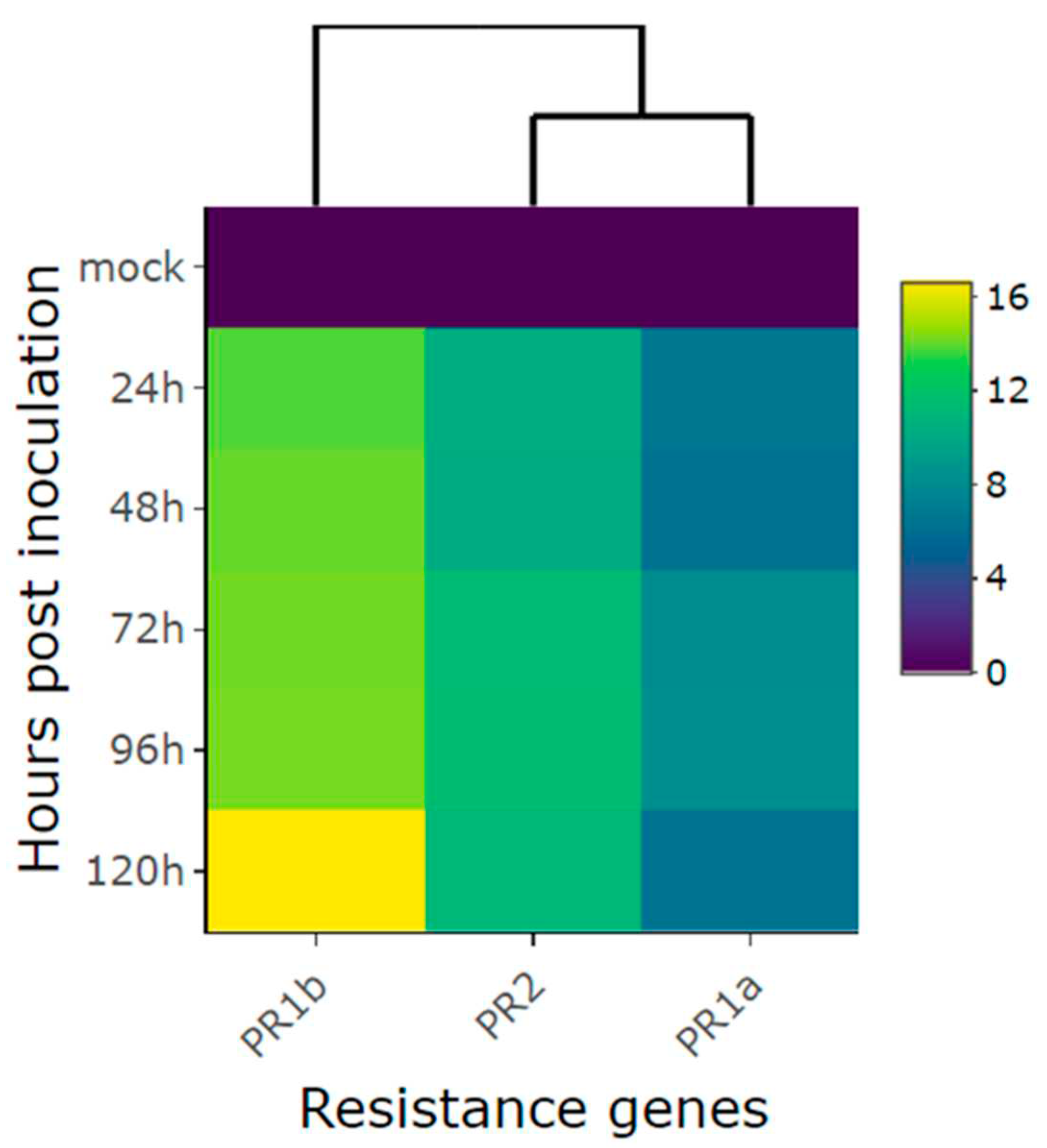 Preprints 83914 g005