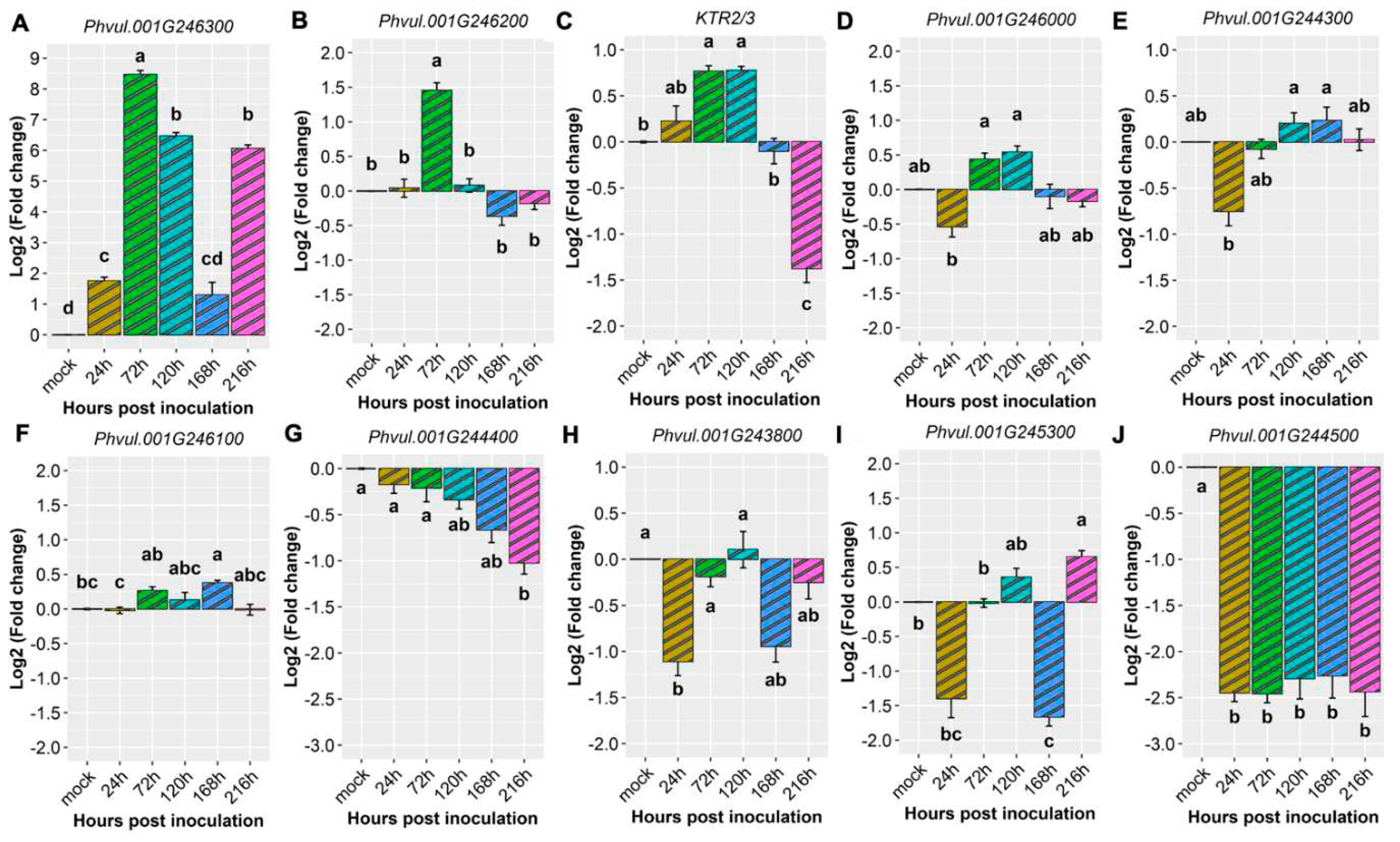 Preprints 83914 g006