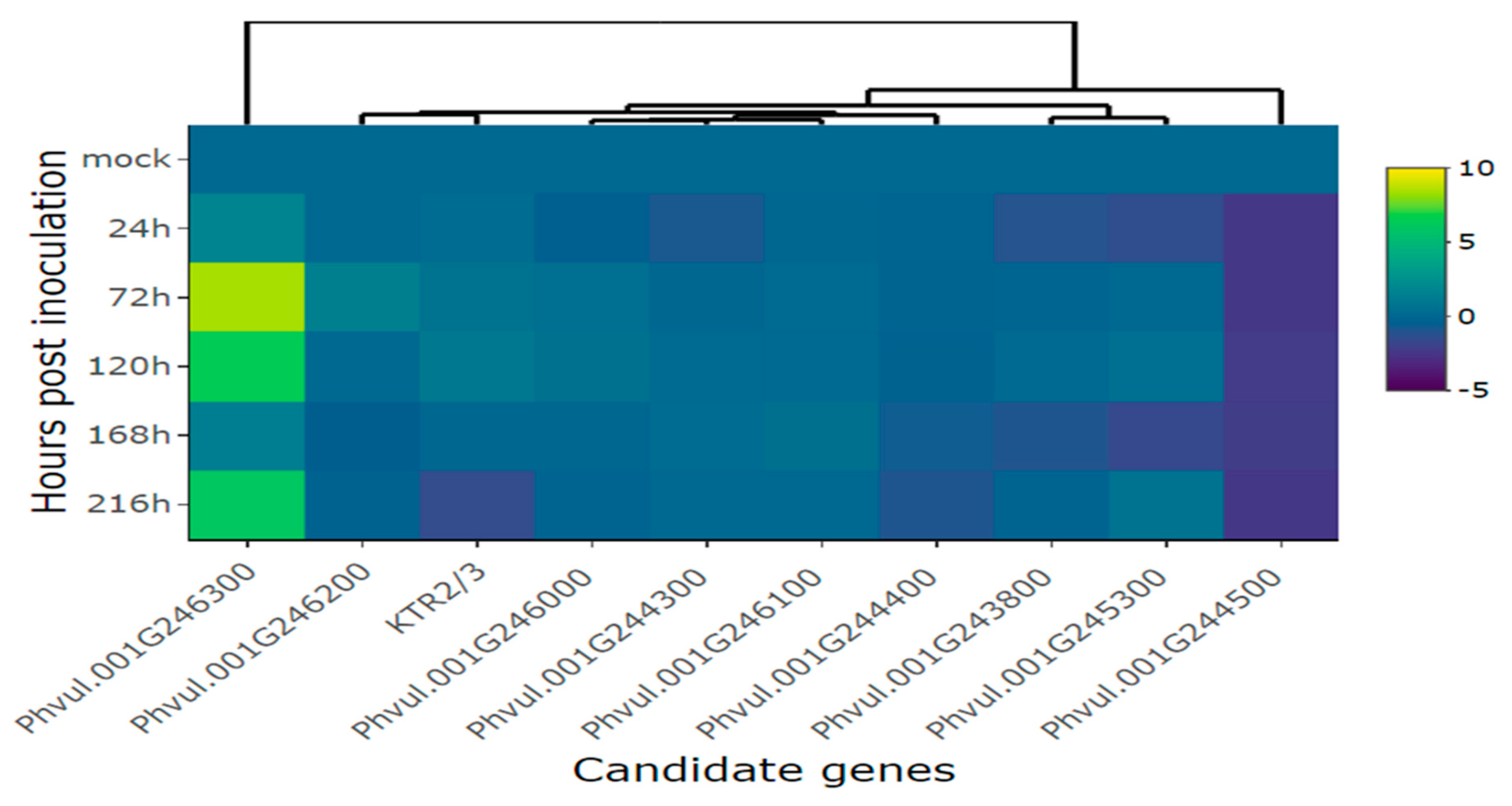 Preprints 83914 g007