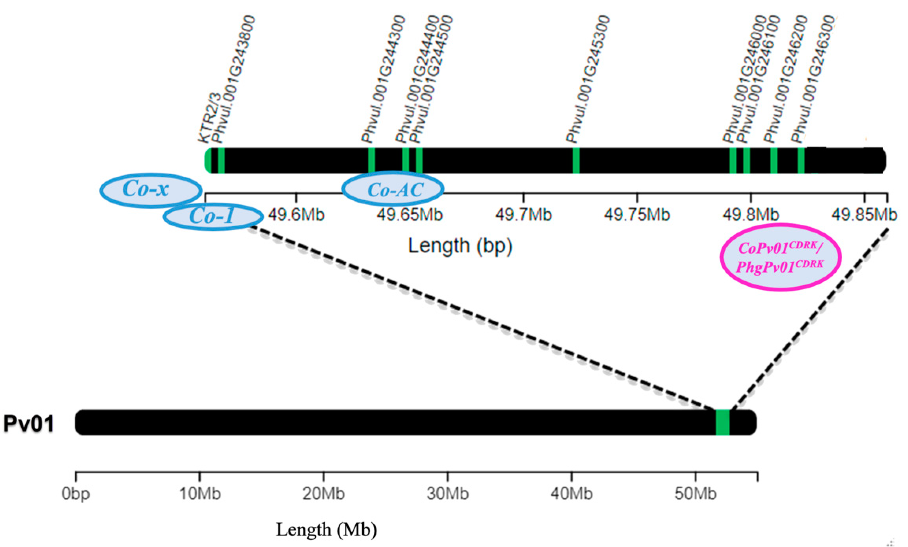 Preprints 83914 g010