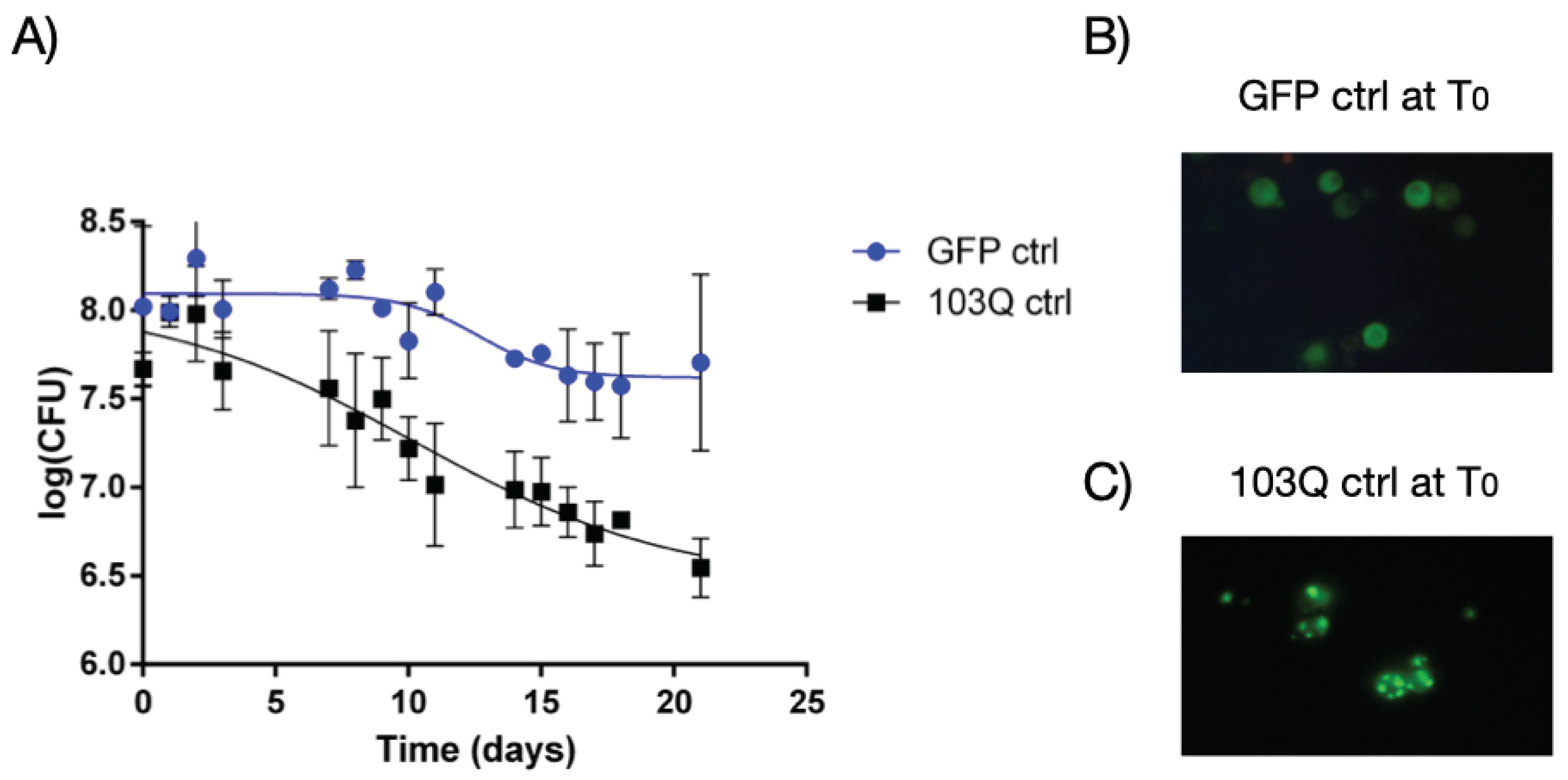 Preprints 99905 g001