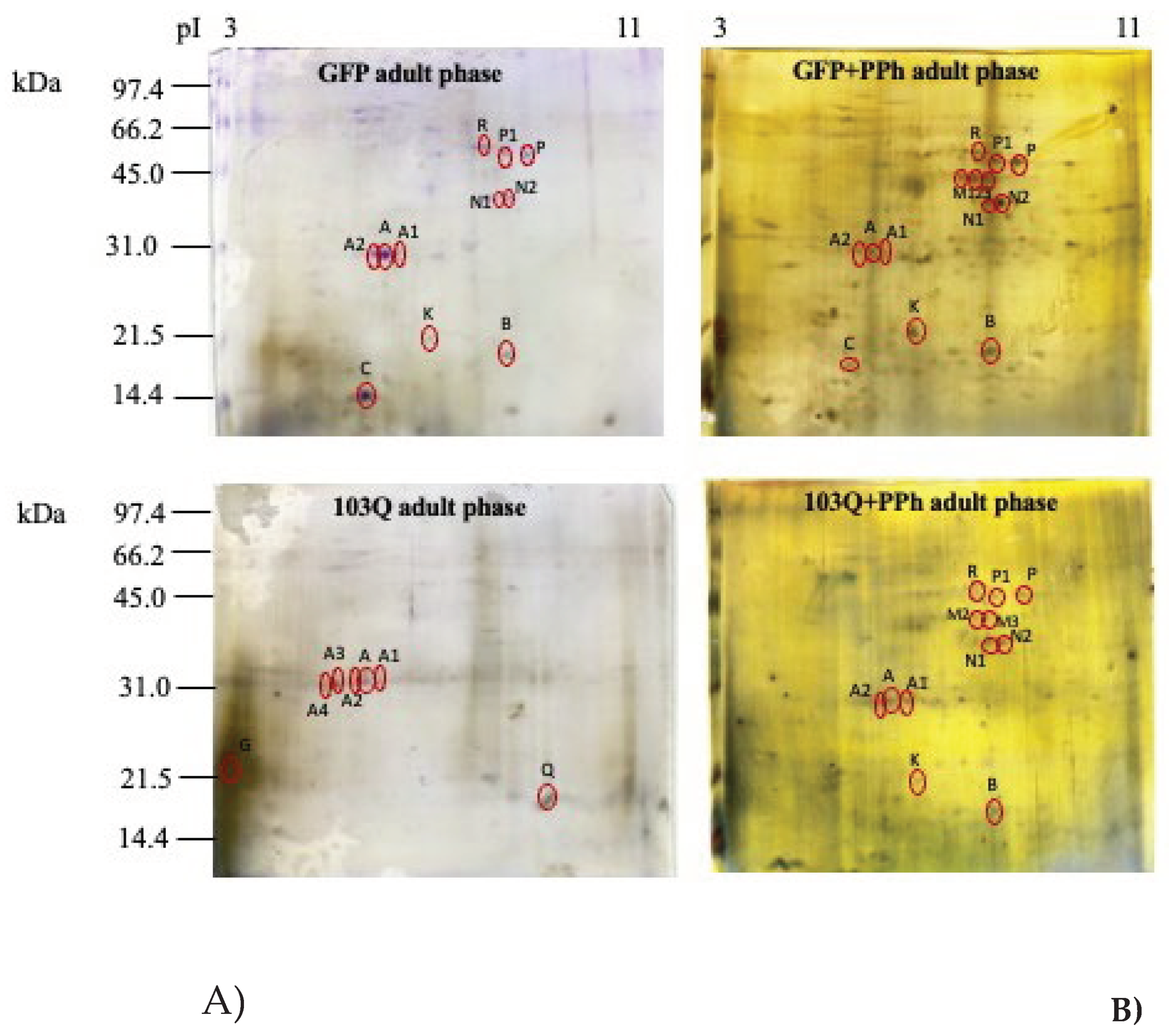 Preprints 99905 g005b