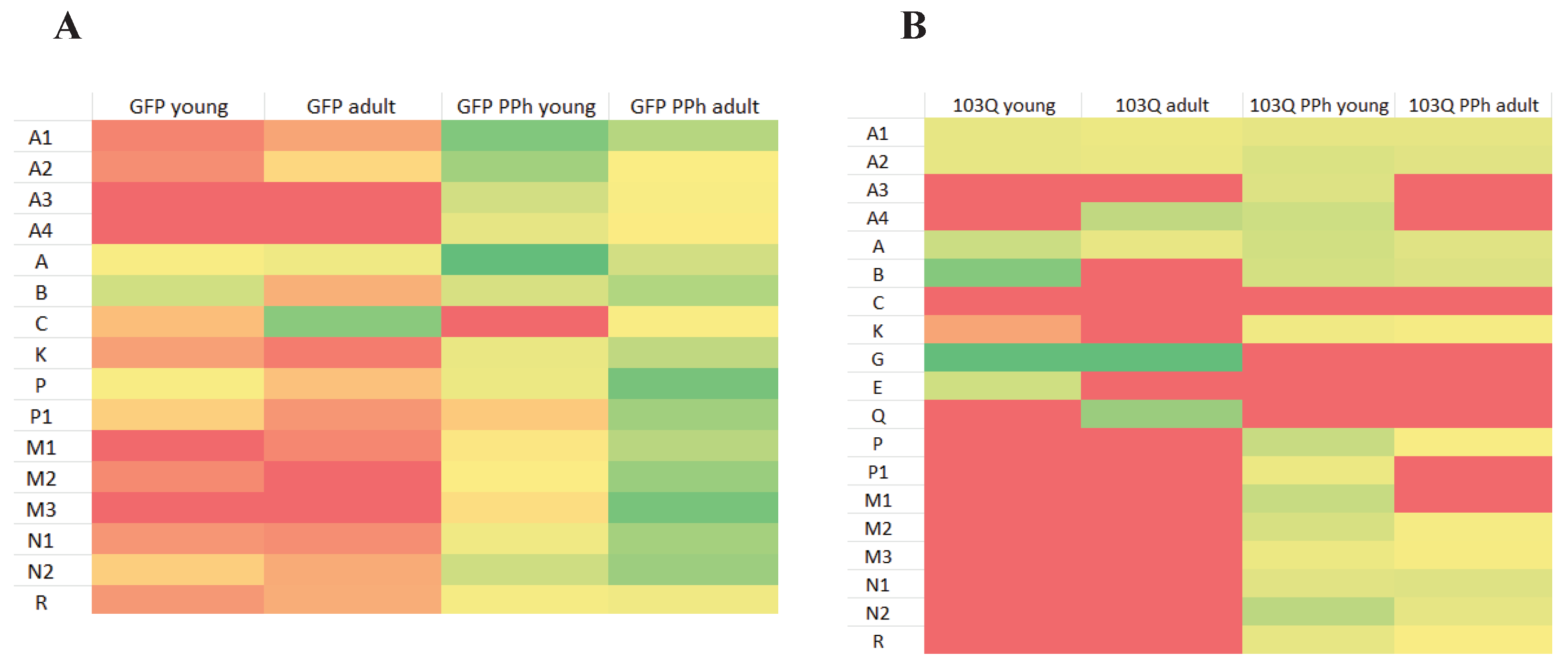 Preprints 99905 g006