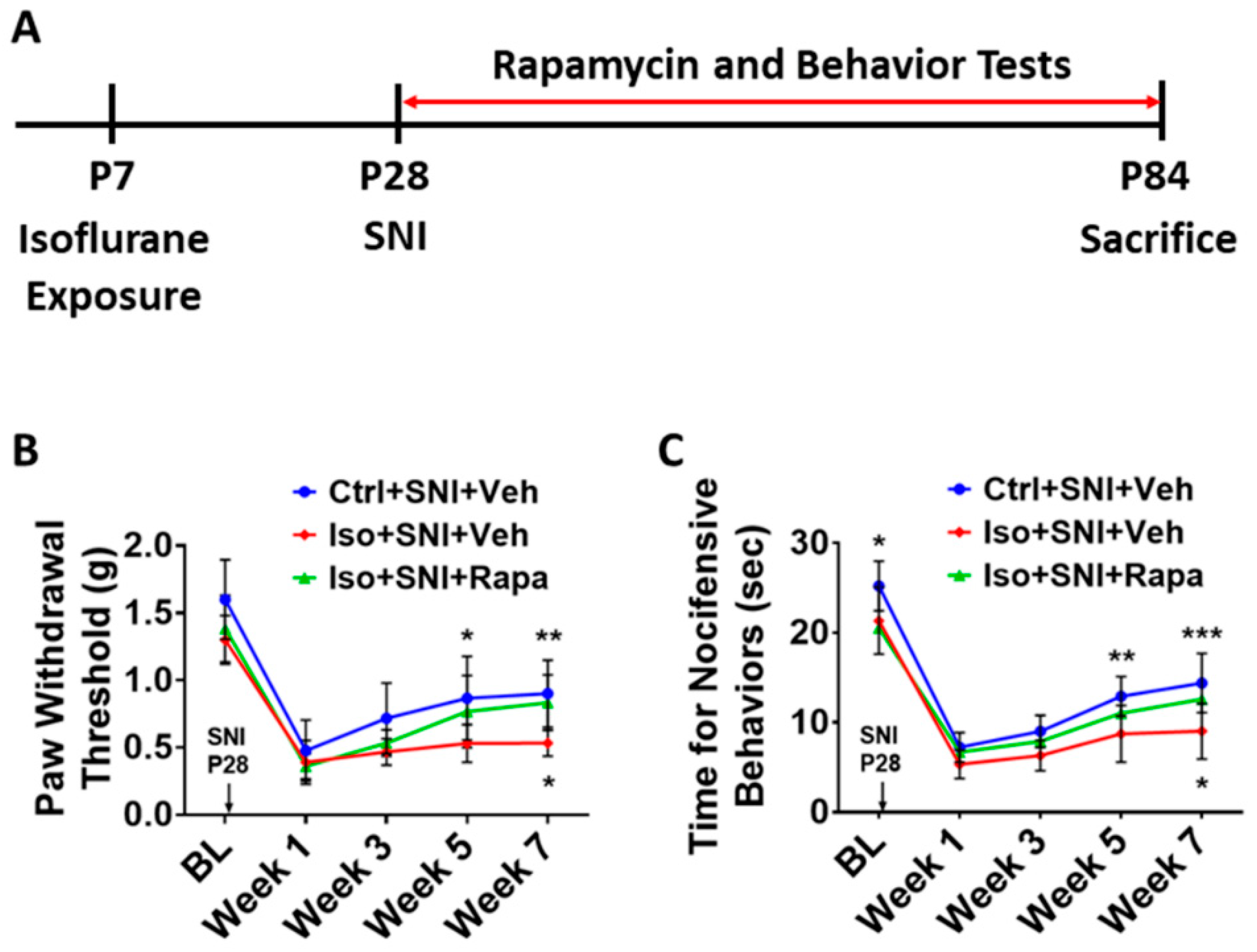 Preprints 81954 g001