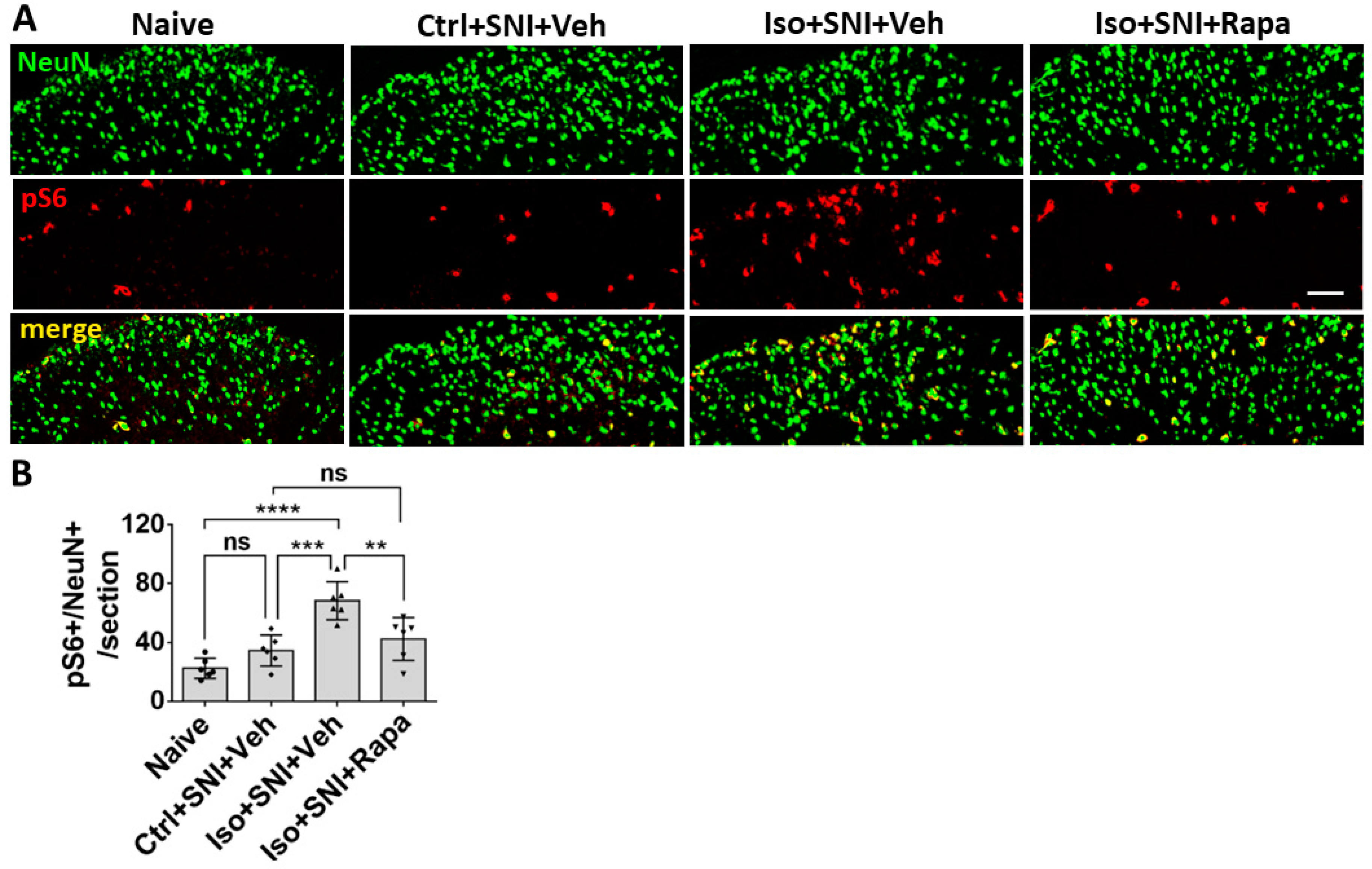 Preprints 81954 g002