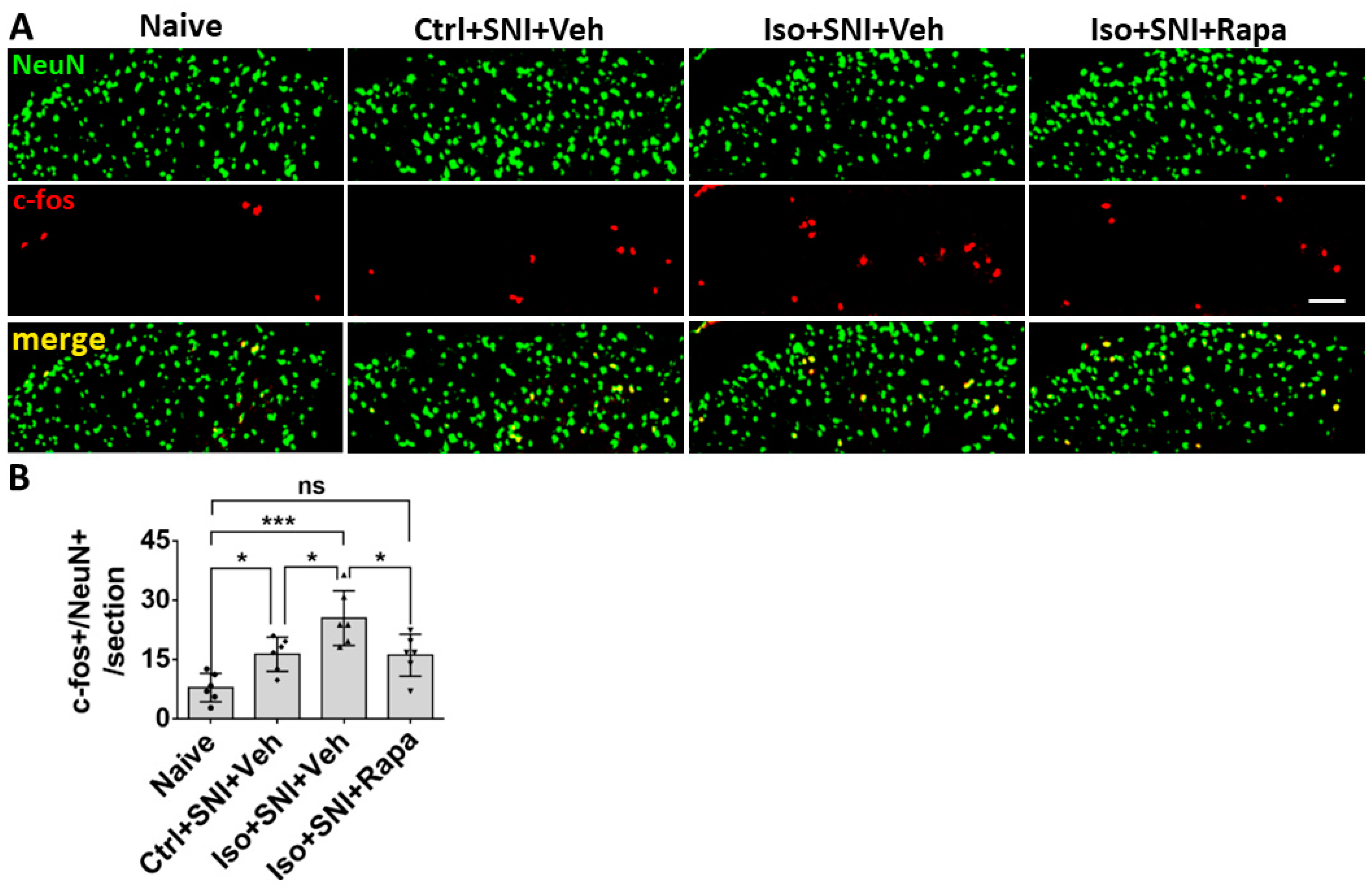 Preprints 81954 g003