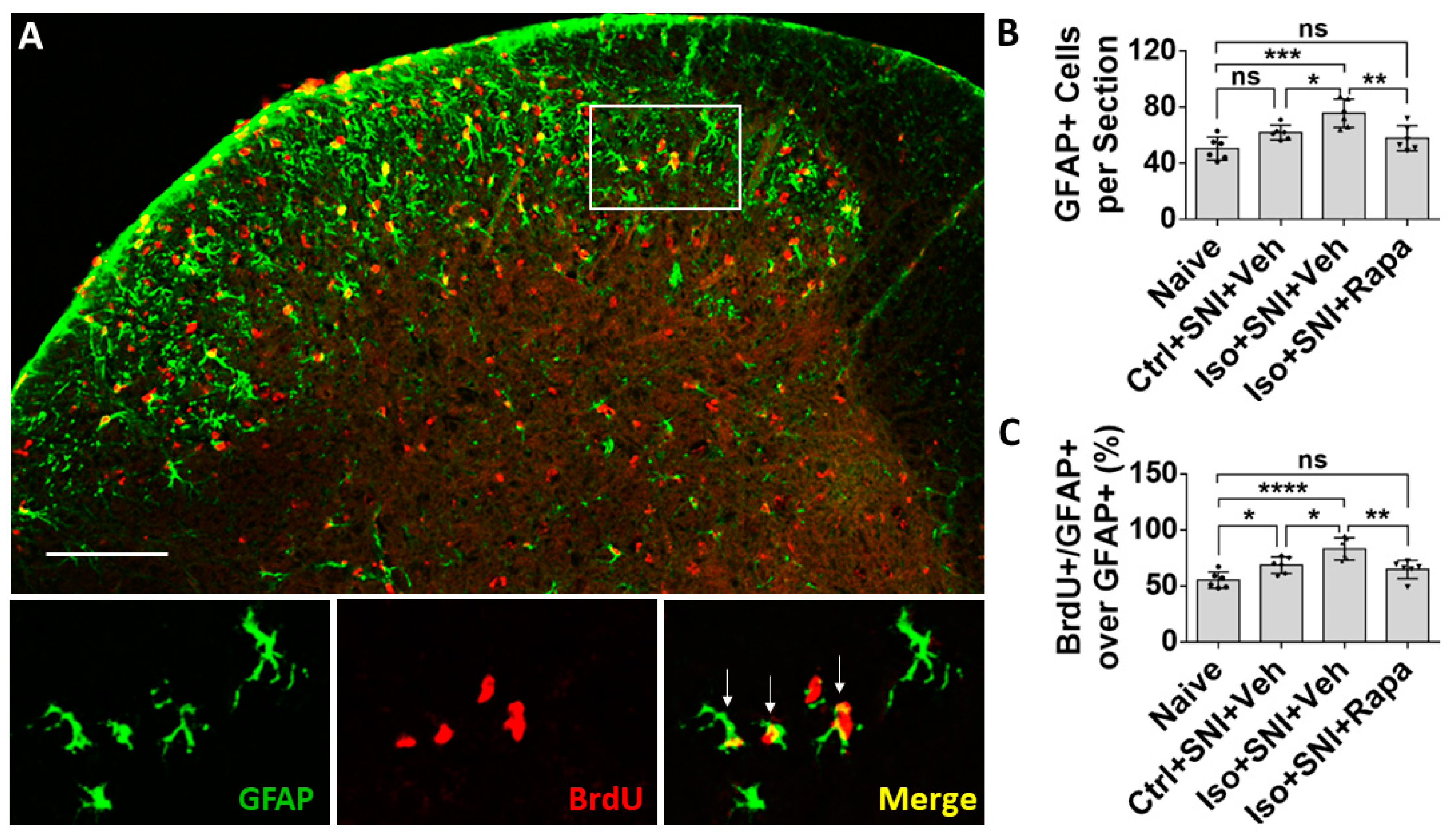 Preprints 81954 g004