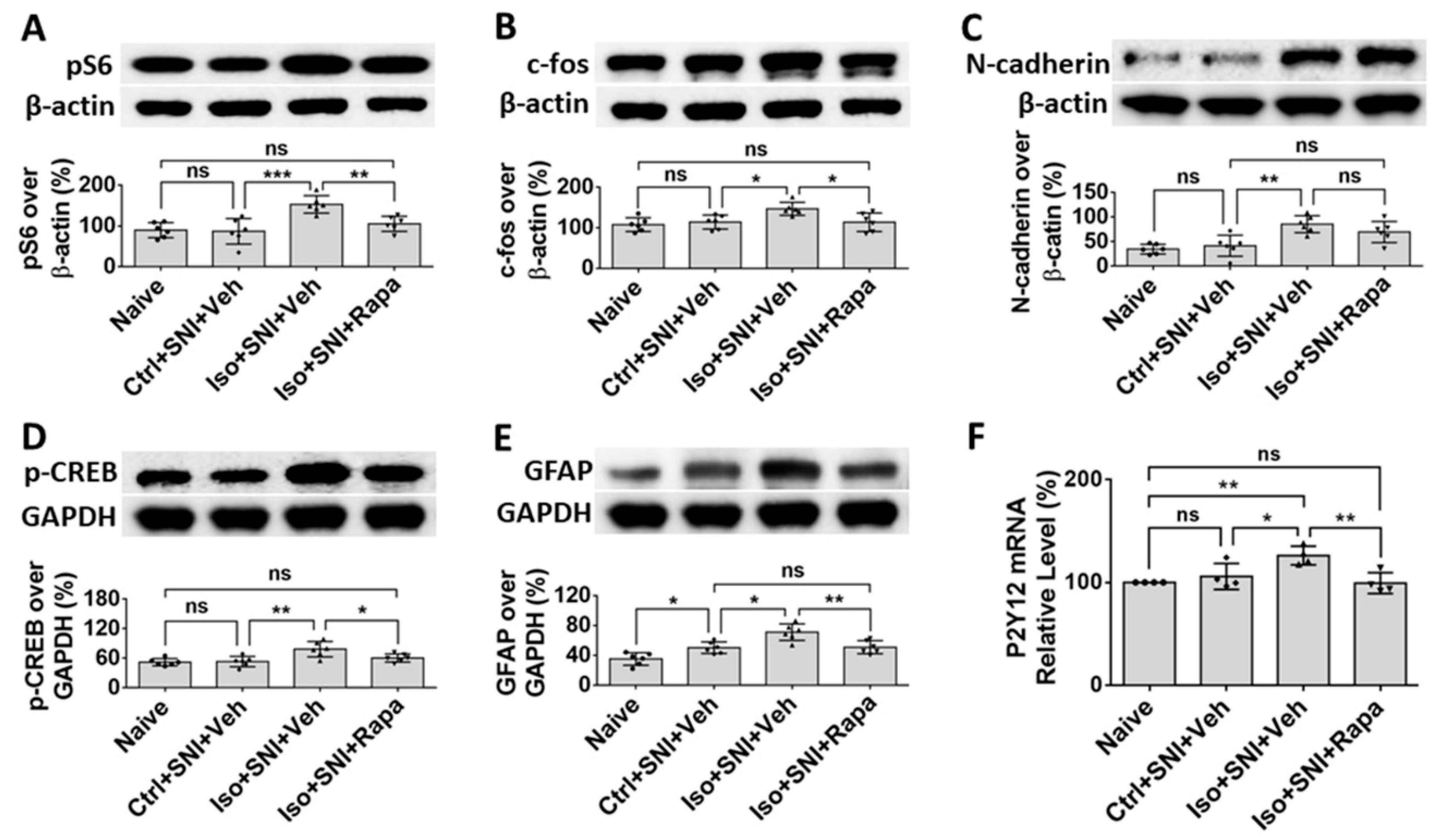 Preprints 81954 g006