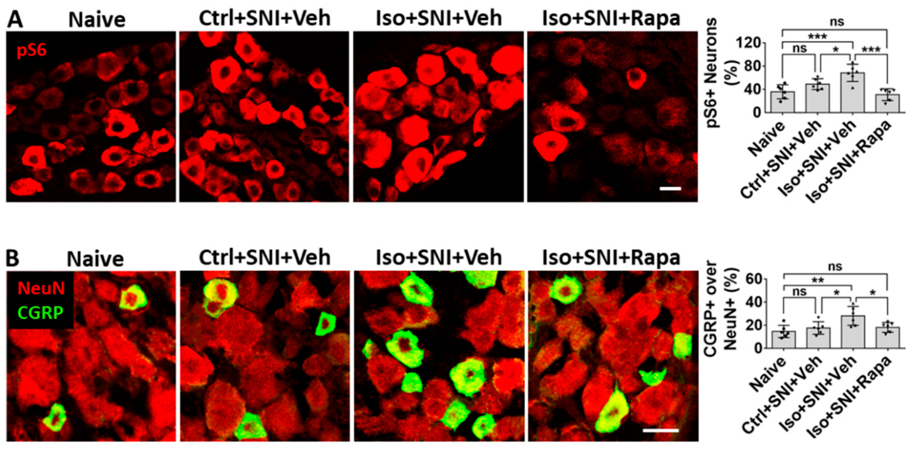 Preprints 81954 g007