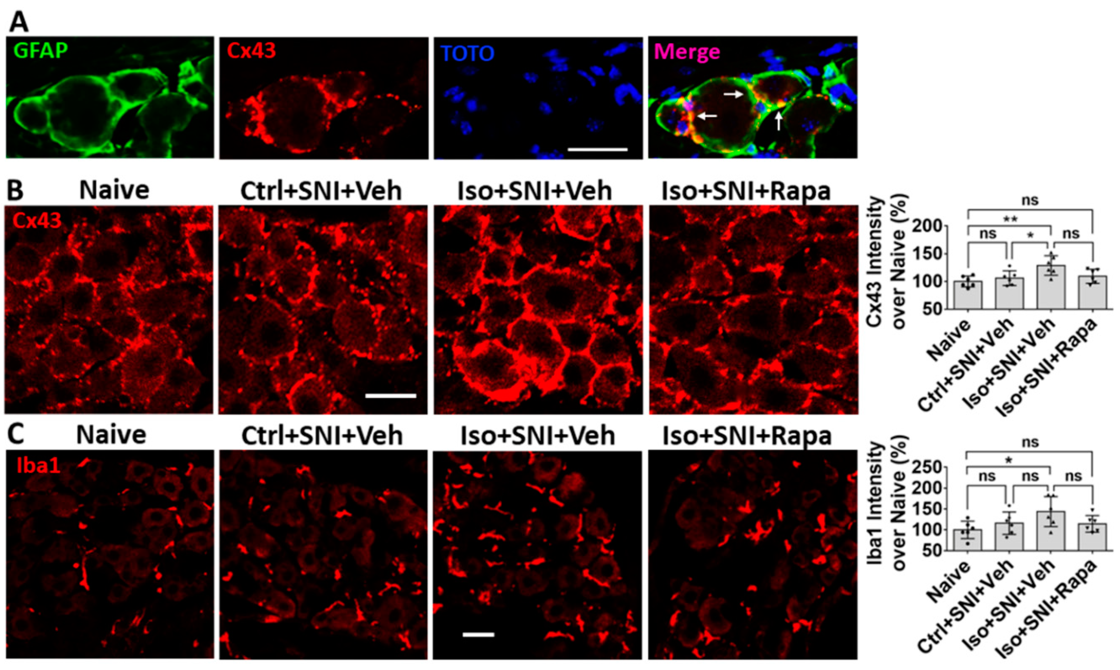 Preprints 81954 g008