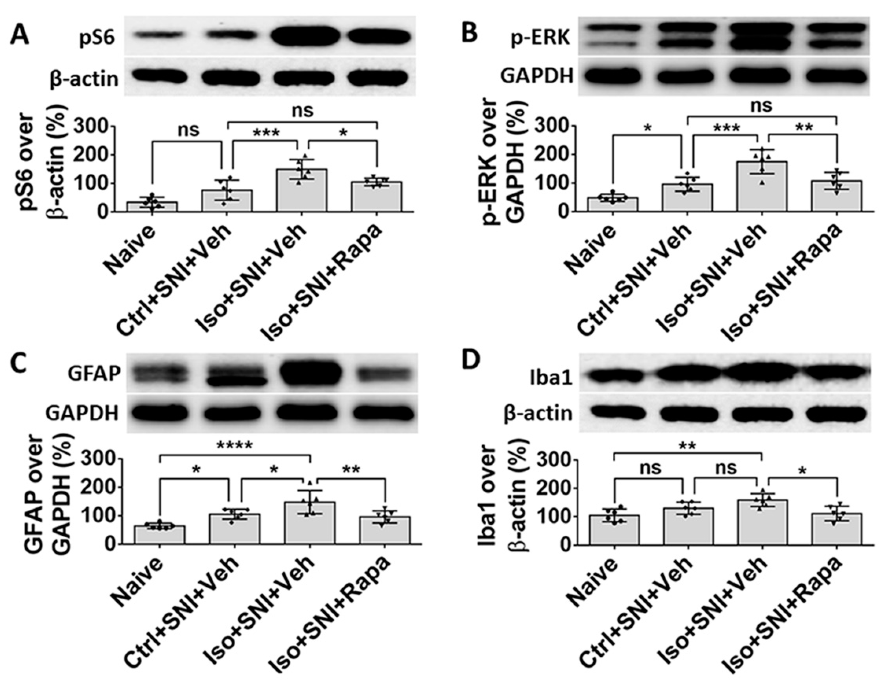 Preprints 81954 g009