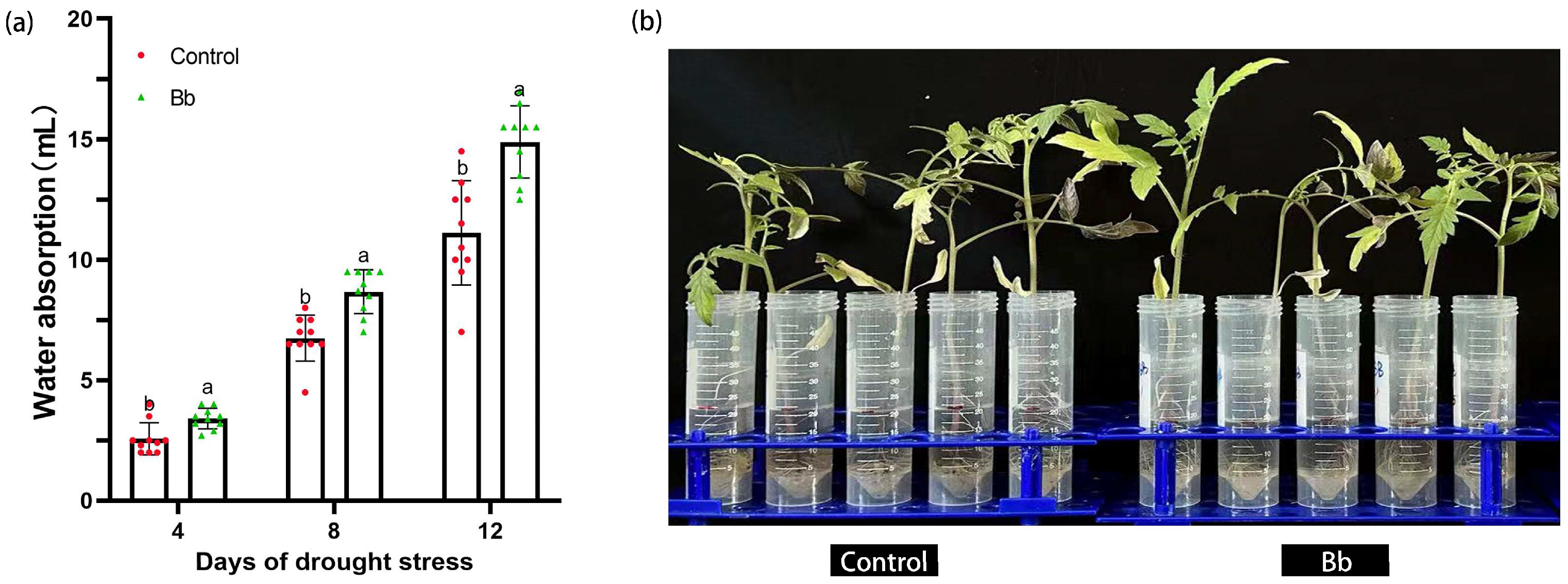 Preprints 121293 g002