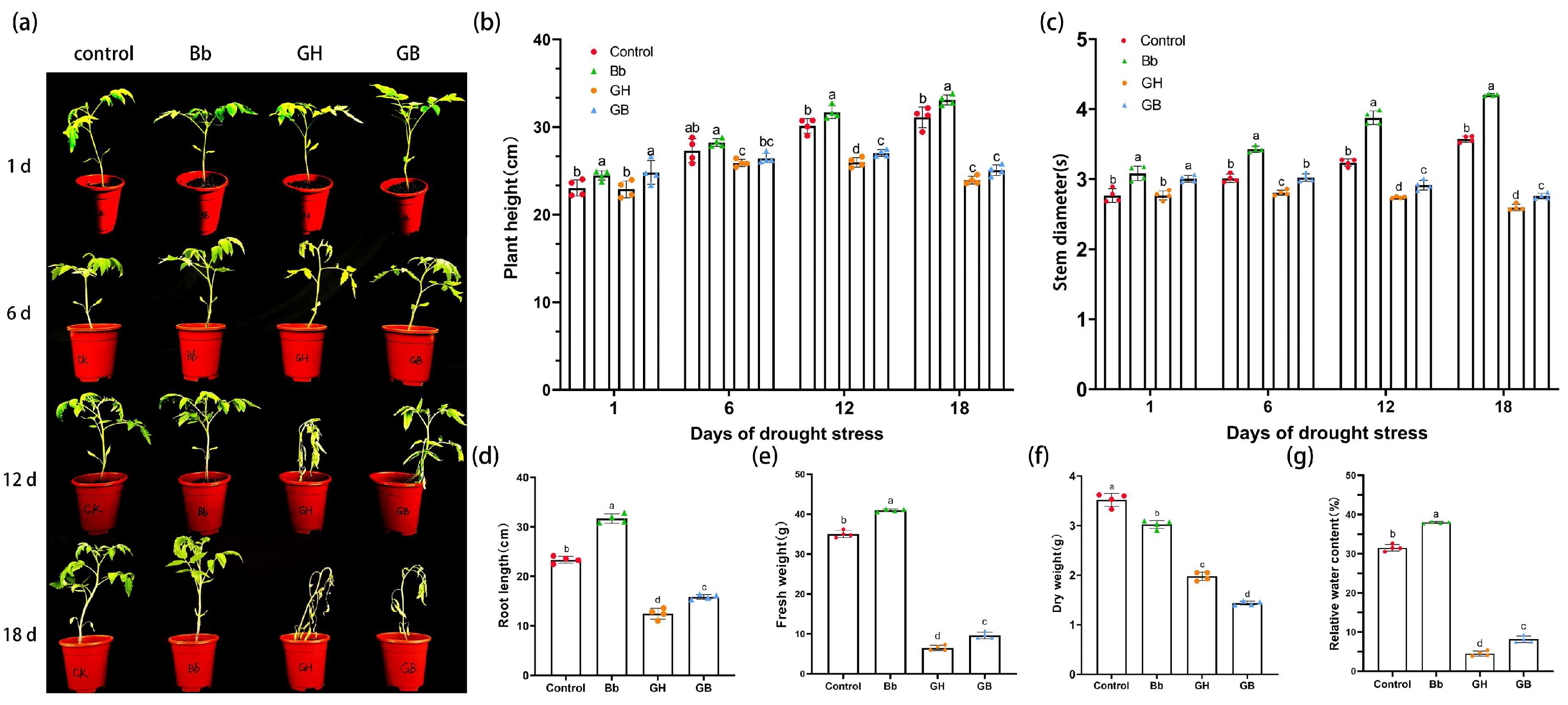 Preprints 121293 g003