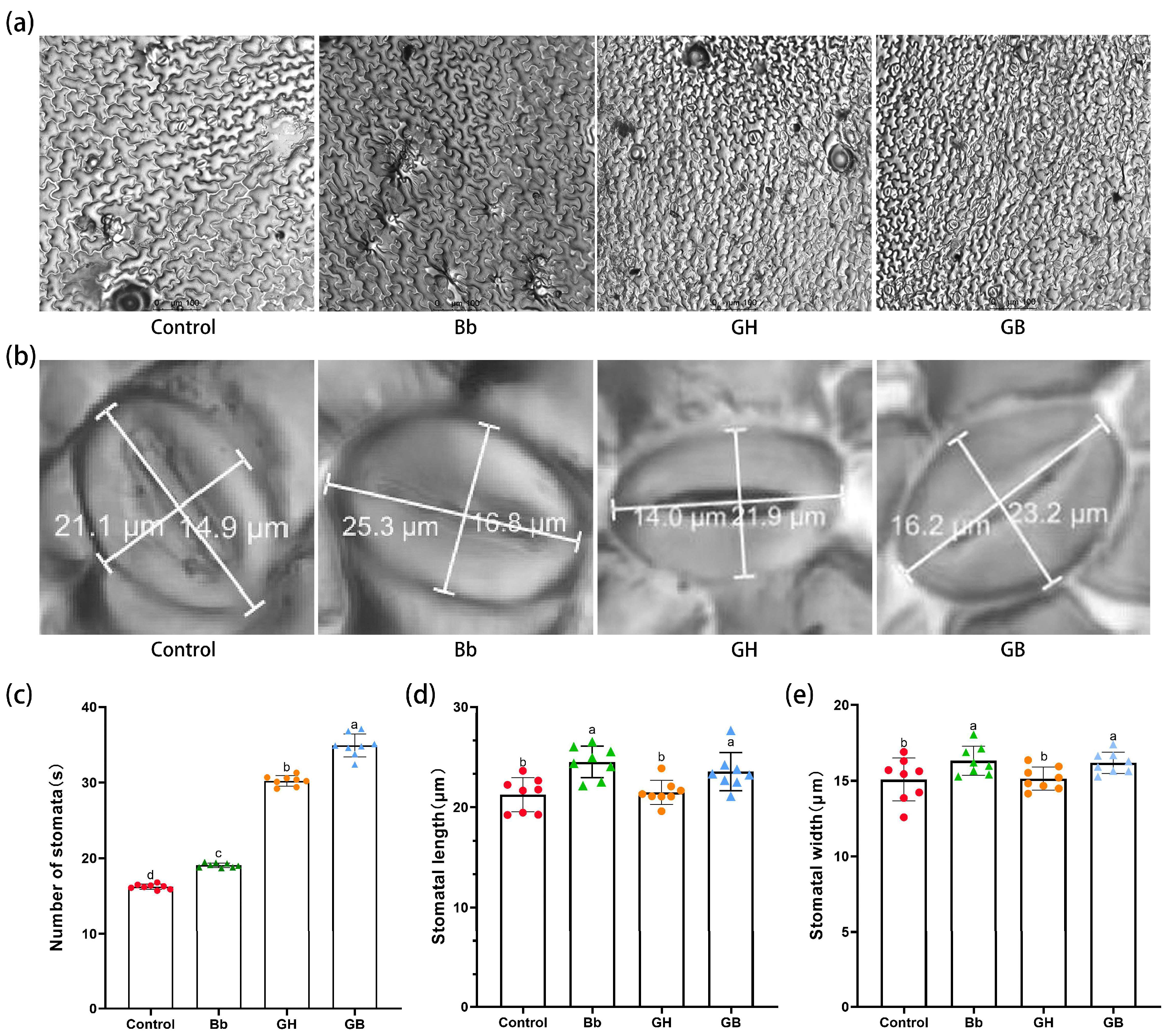 Preprints 121293 g004