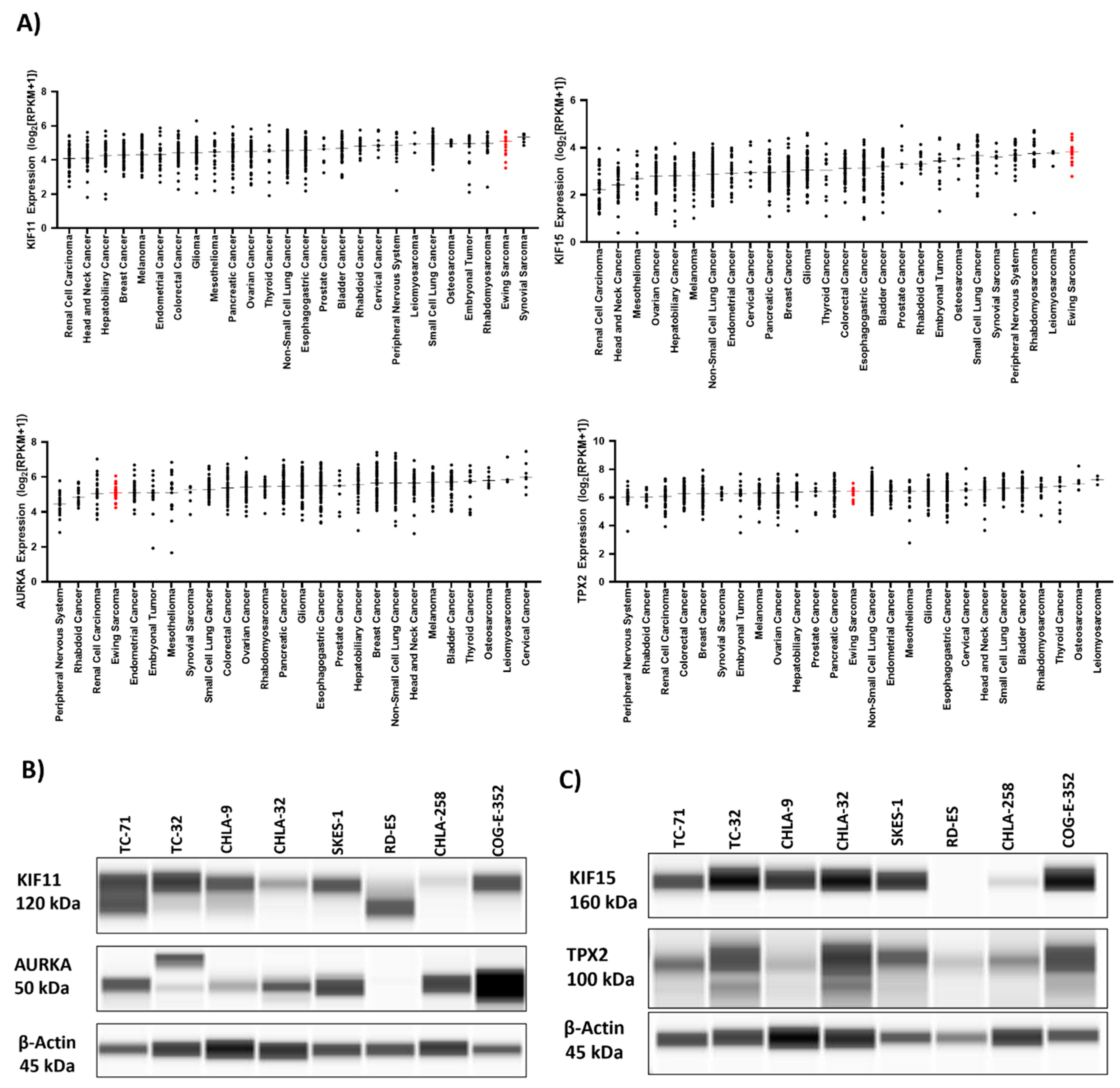 Preprints 86559 g001