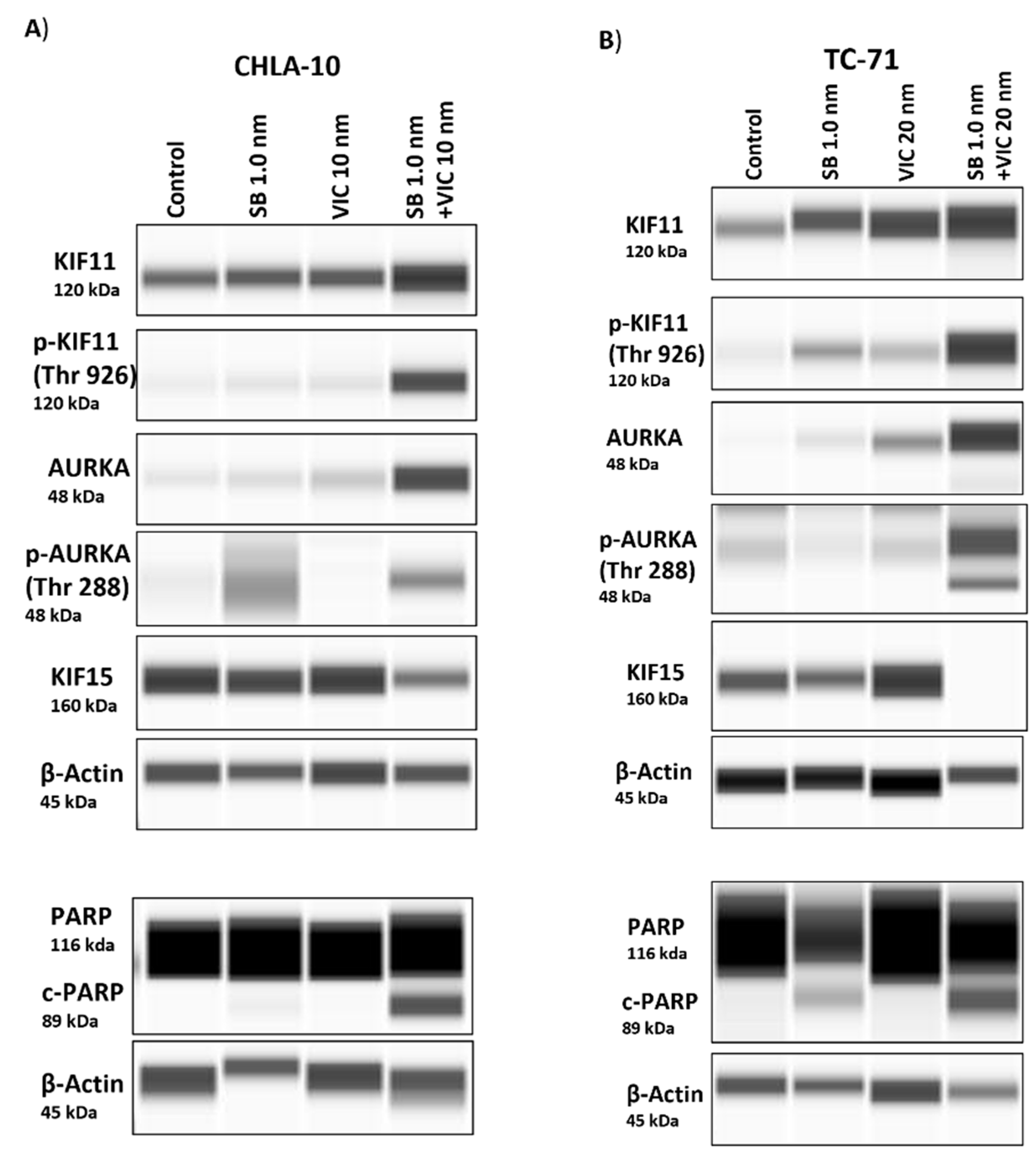 Preprints 86559 g006