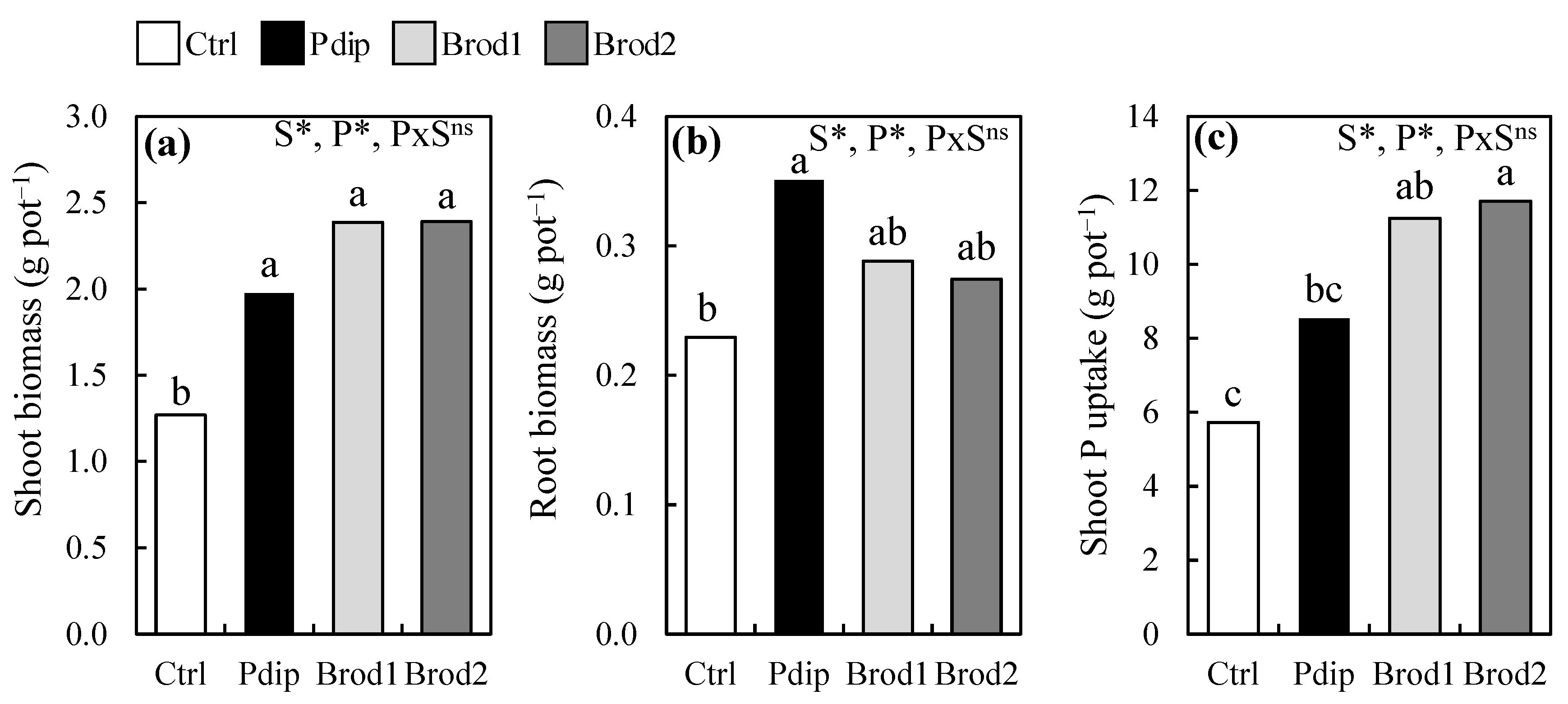 Preprints 86656 g001