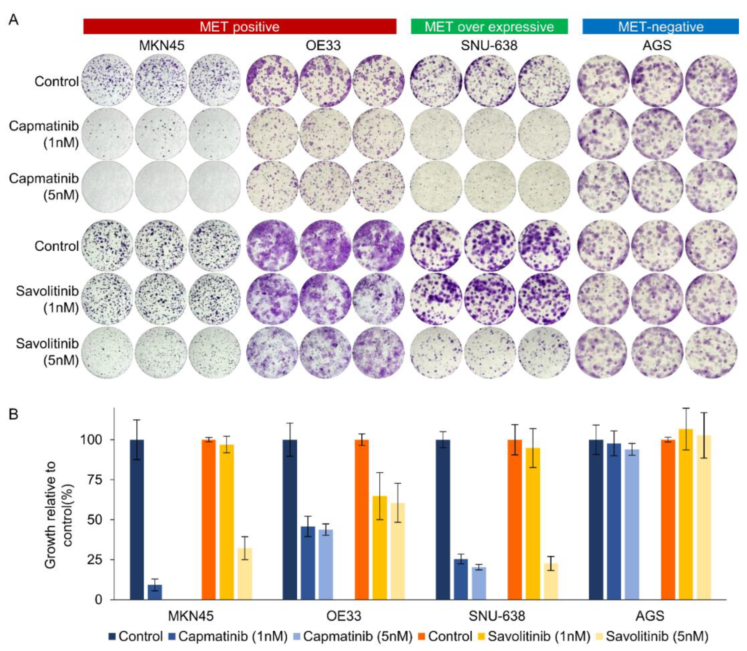 Preprints 106746 g002