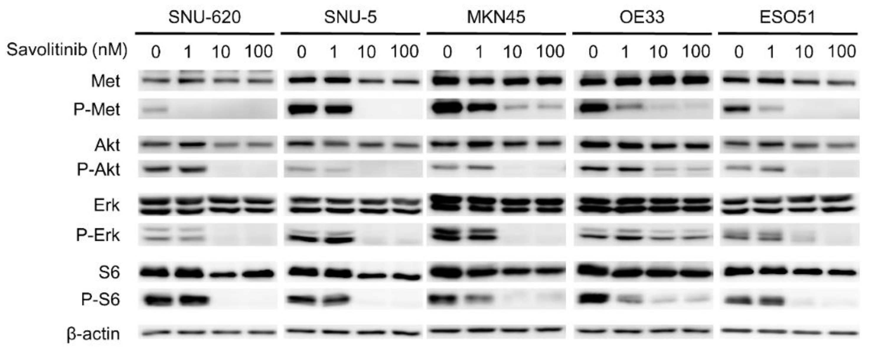 Preprints 106746 g003