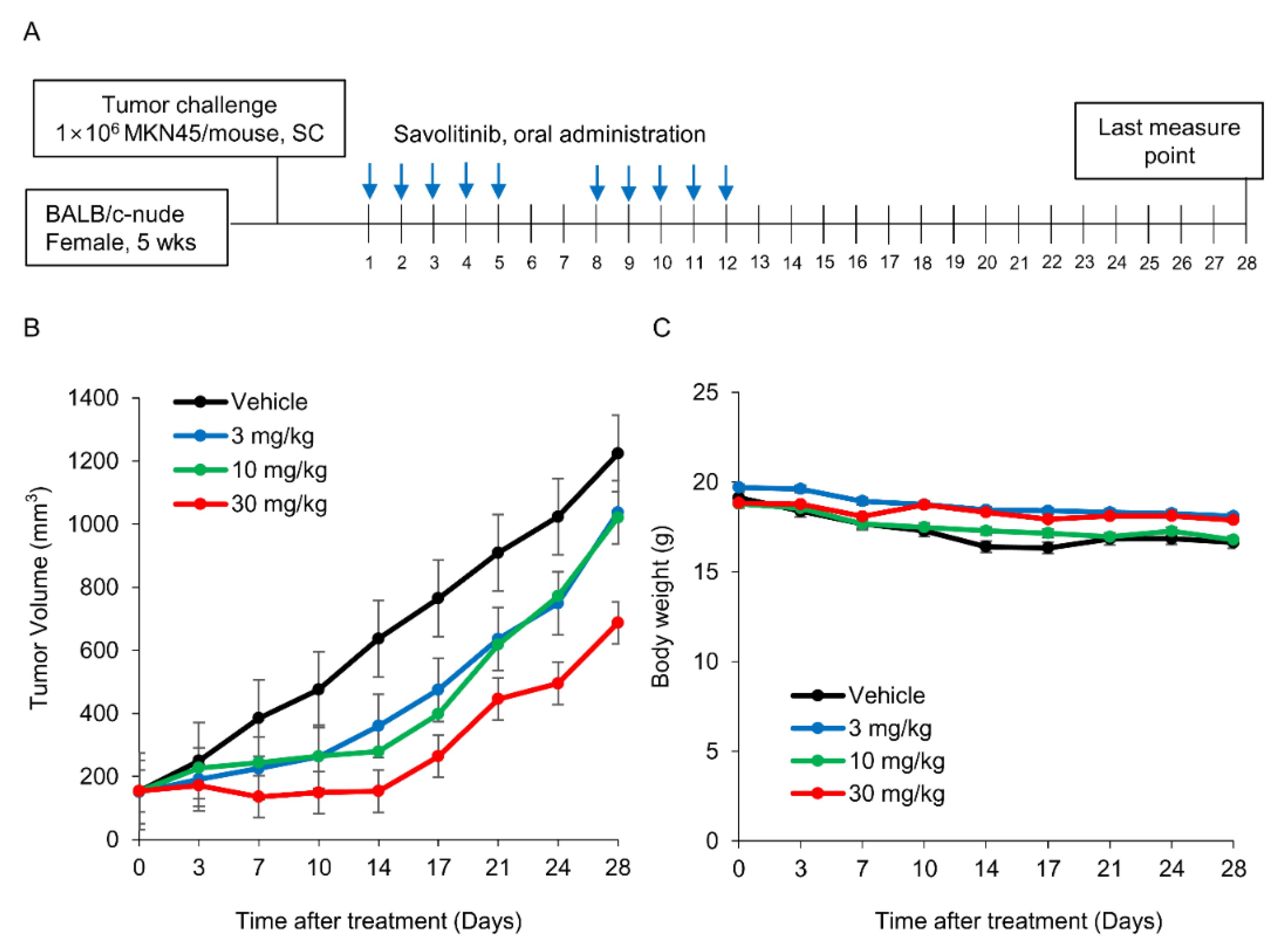 Preprints 106746 g004