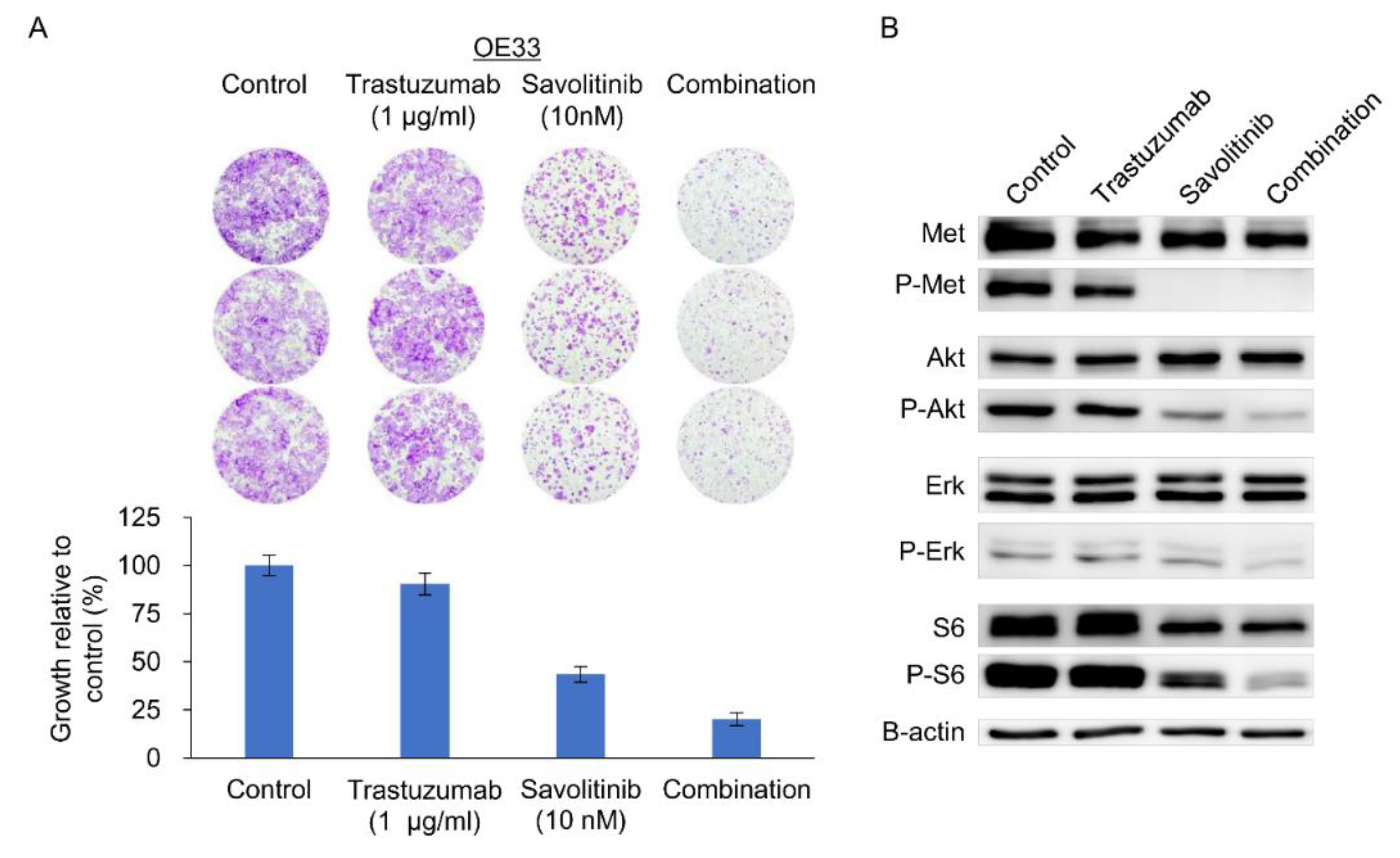 Preprints 106746 g005