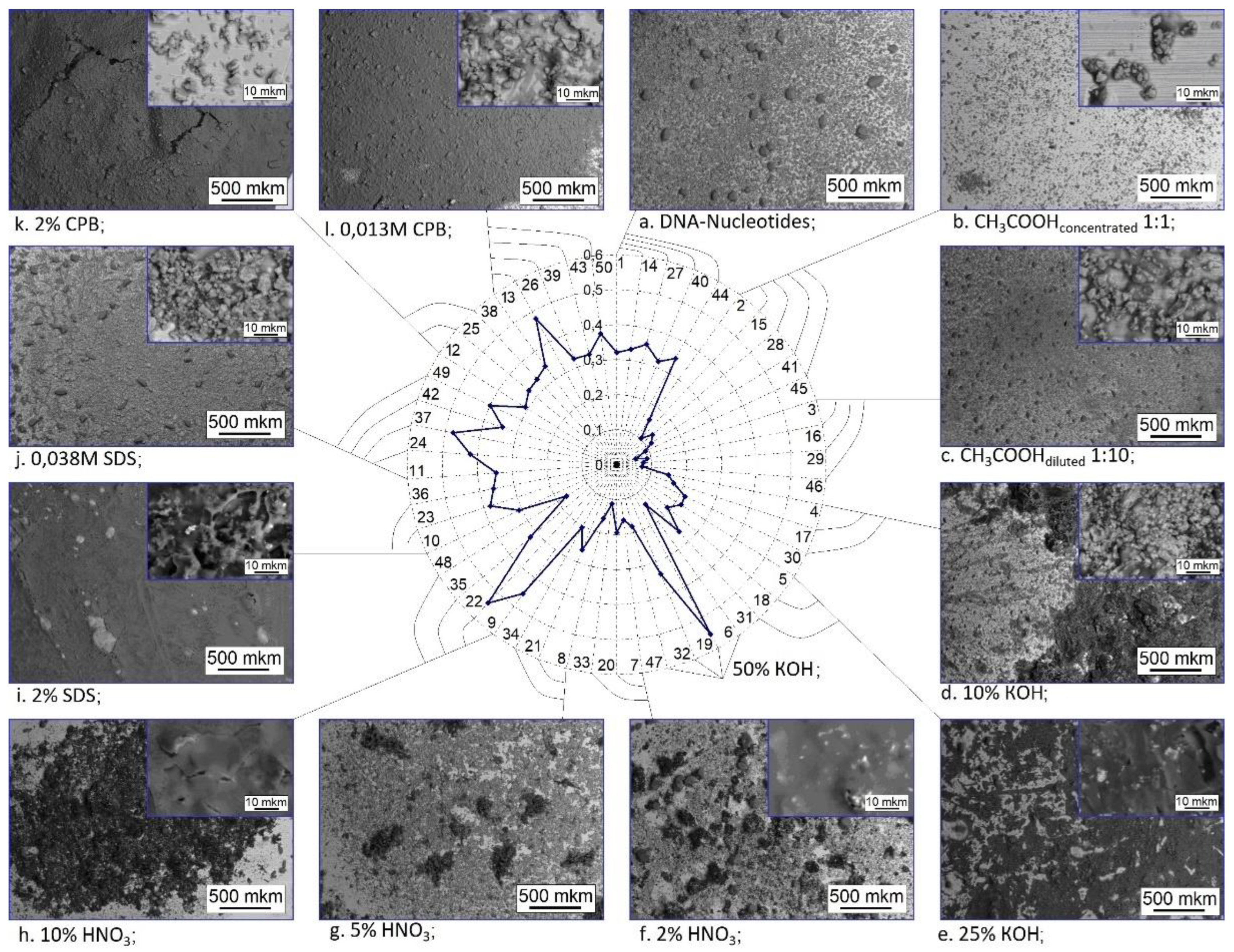 Preprints 70983 g003