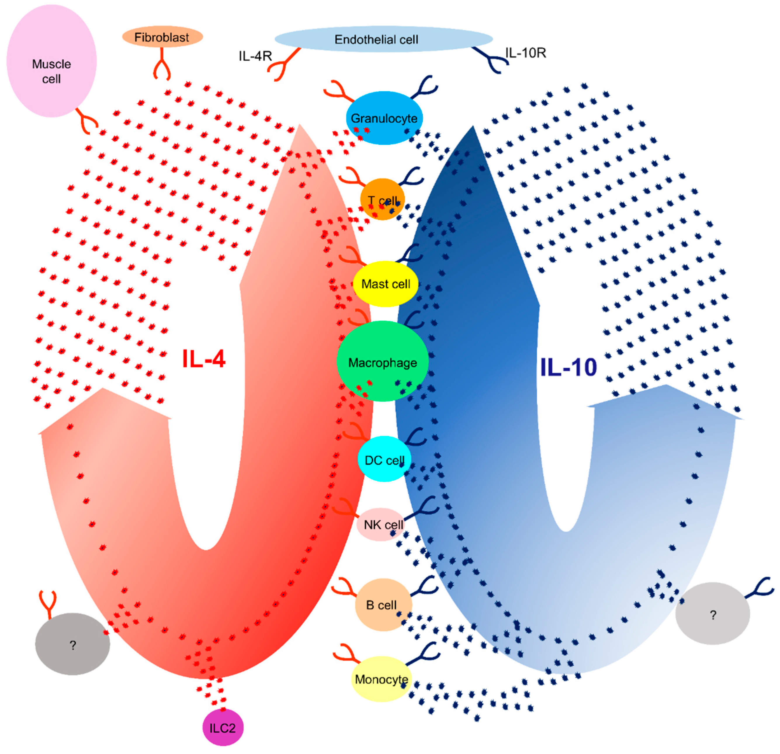 Preprints 71566 g001