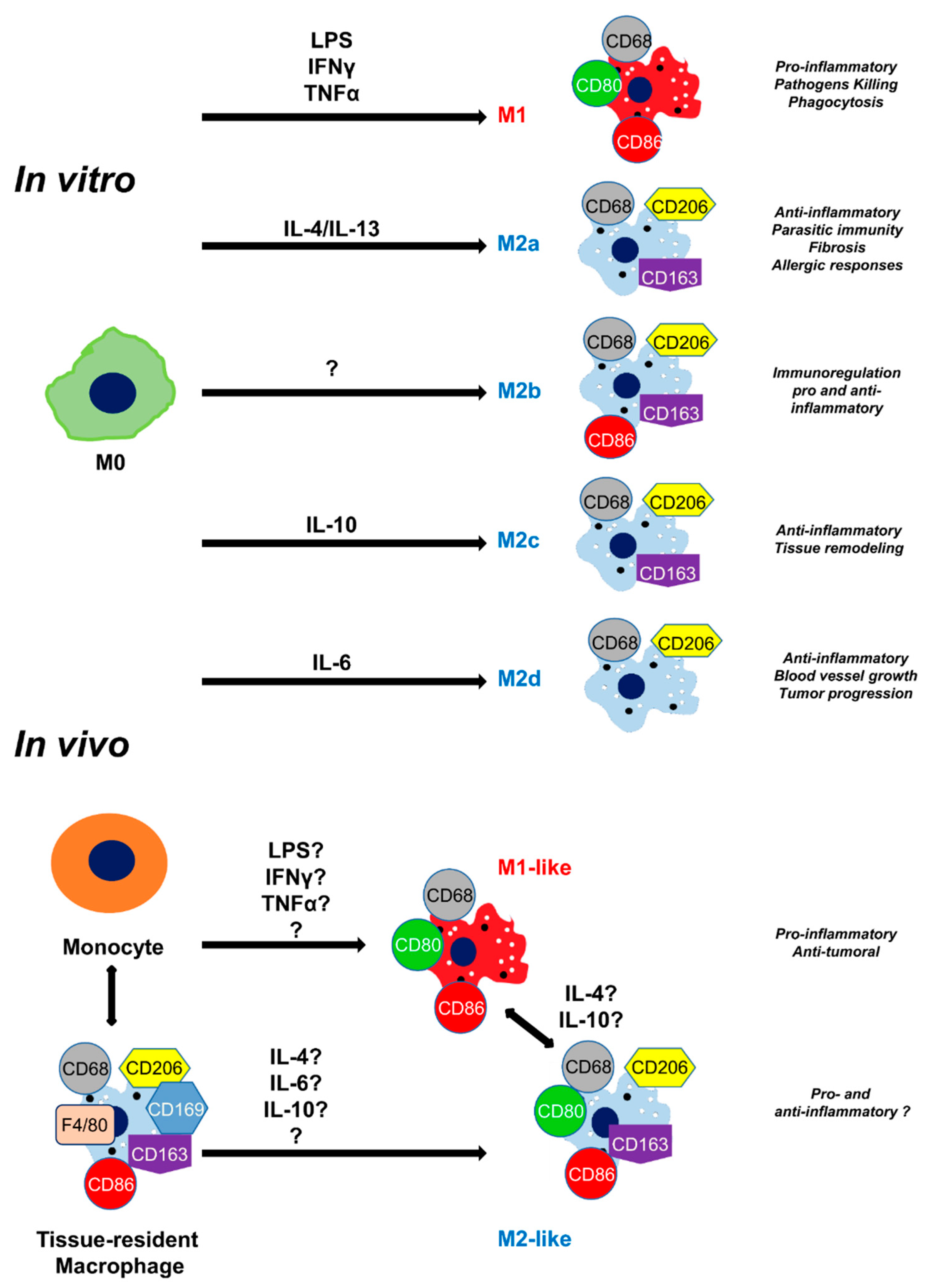 Preprints 71566 g002