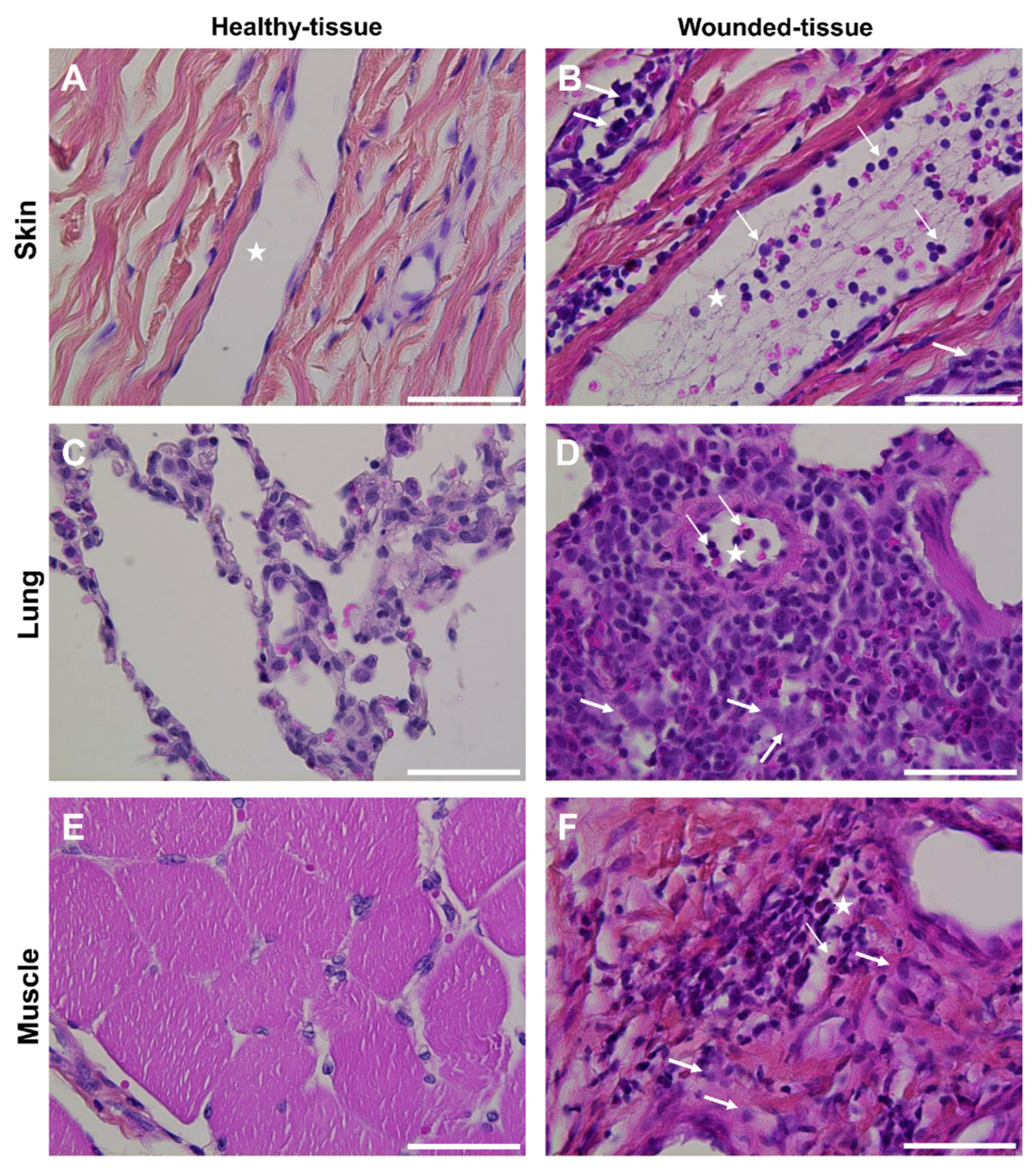 Preprints 71566 g003