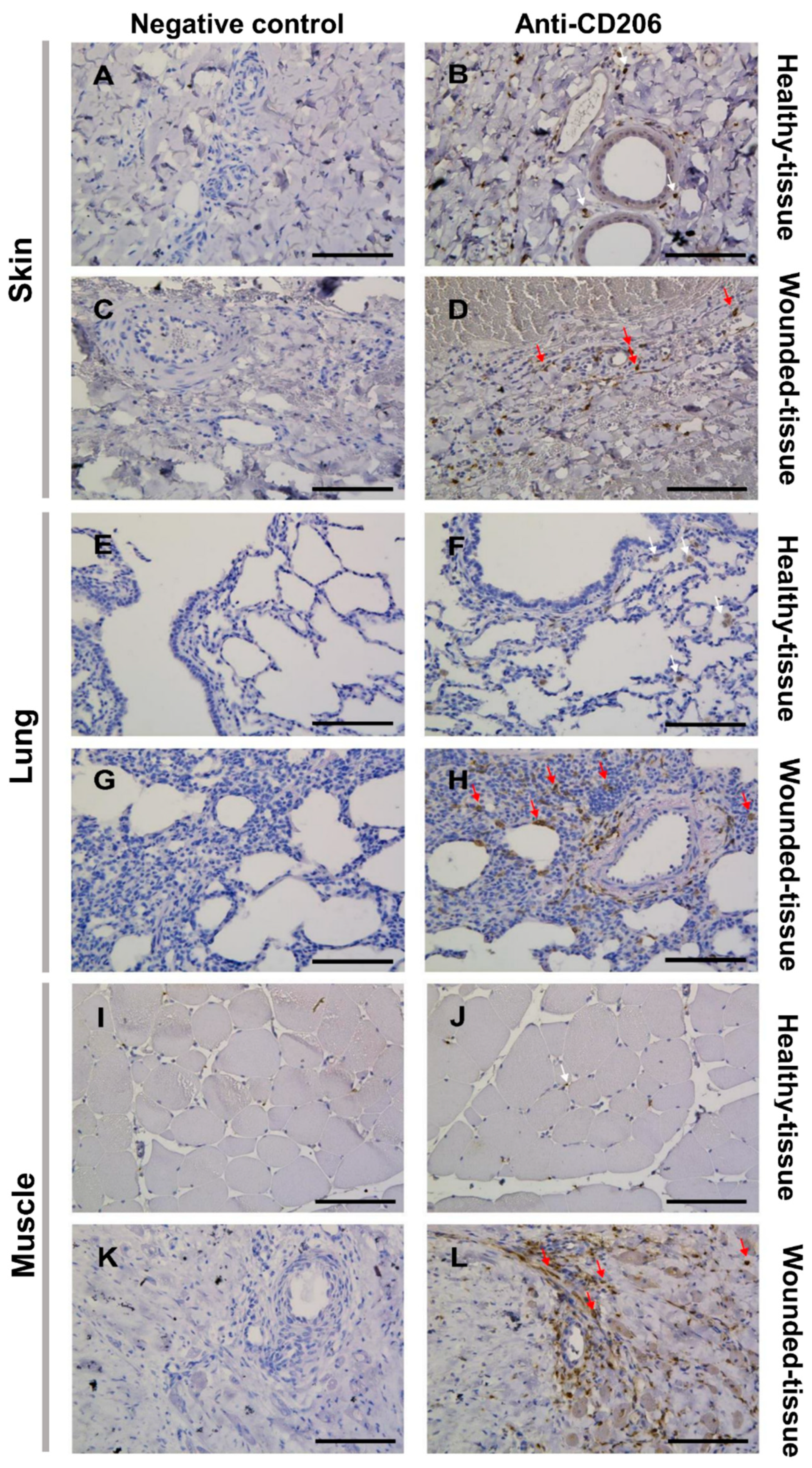 Preprints 71566 g004