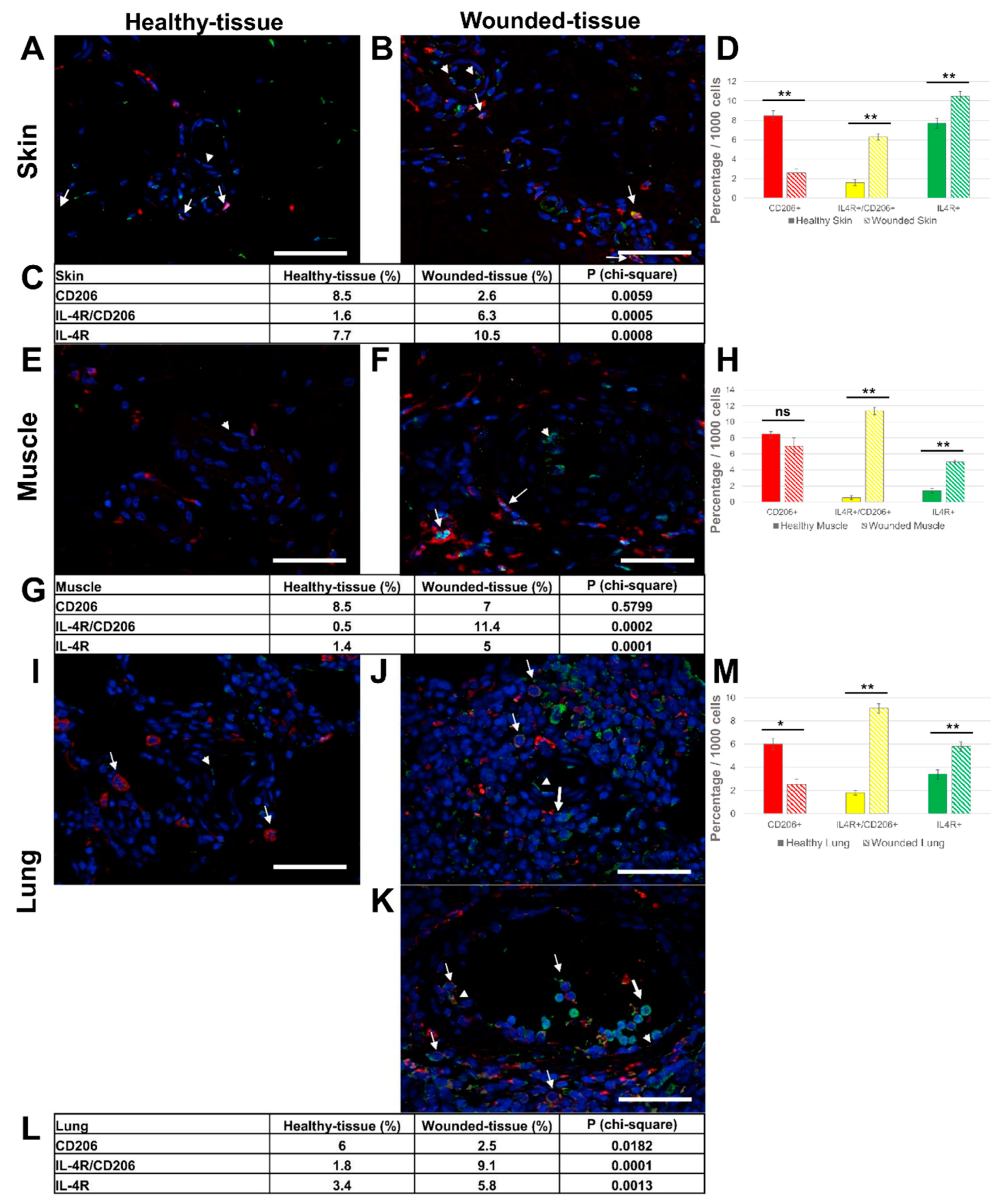 Preprints 71566 g005