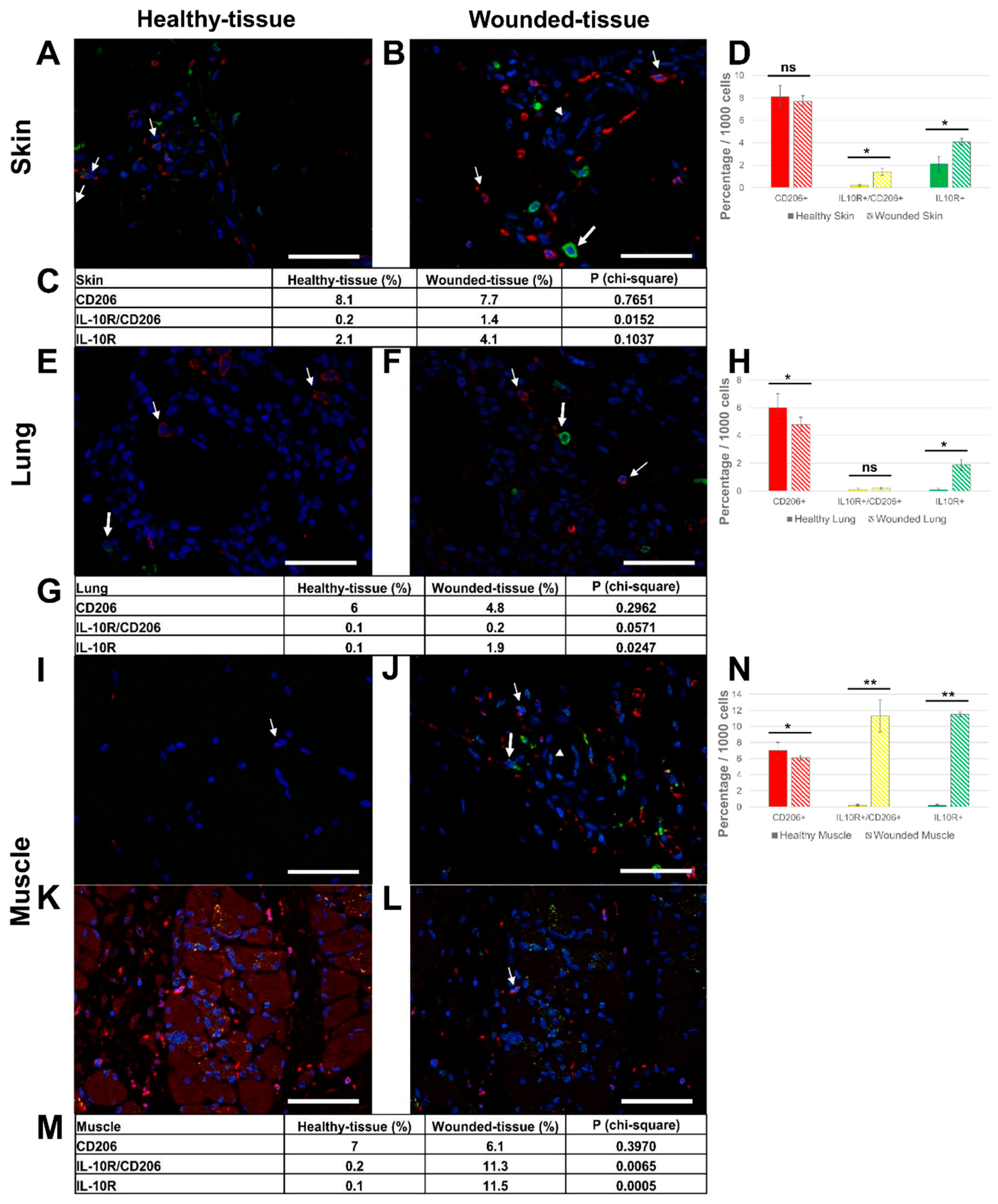 Preprints 71566 g006