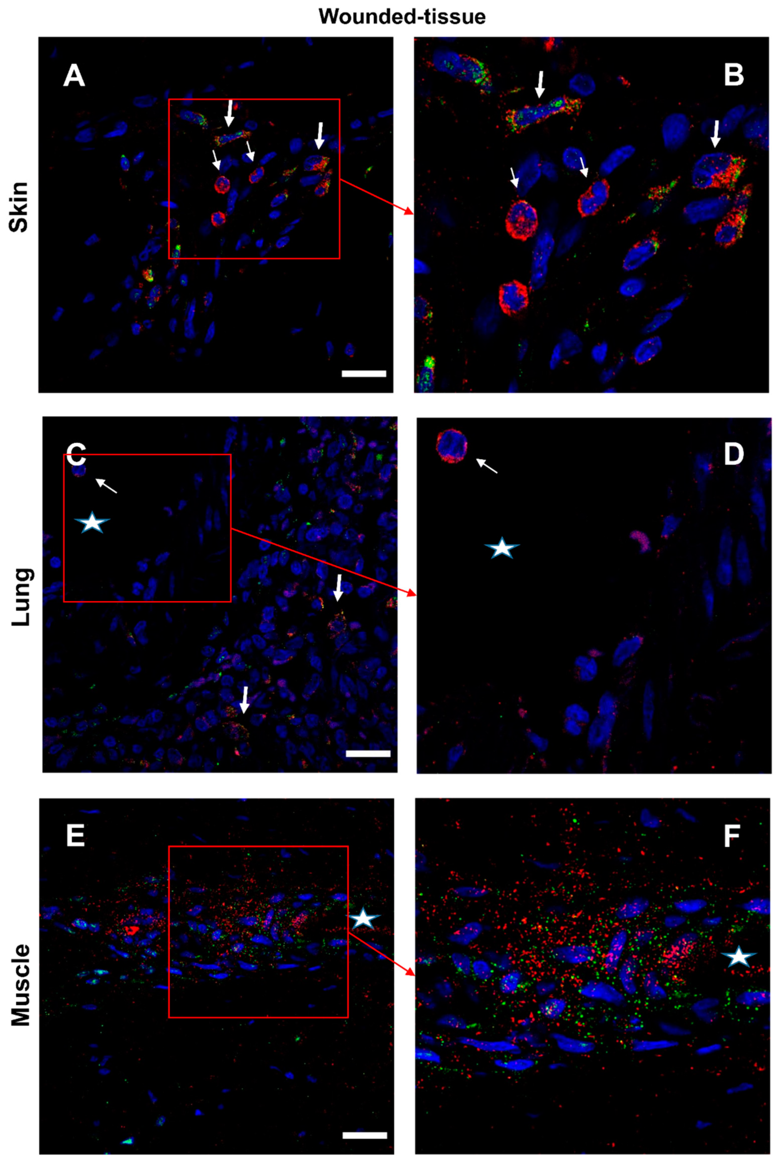 Preprints 71566 g007