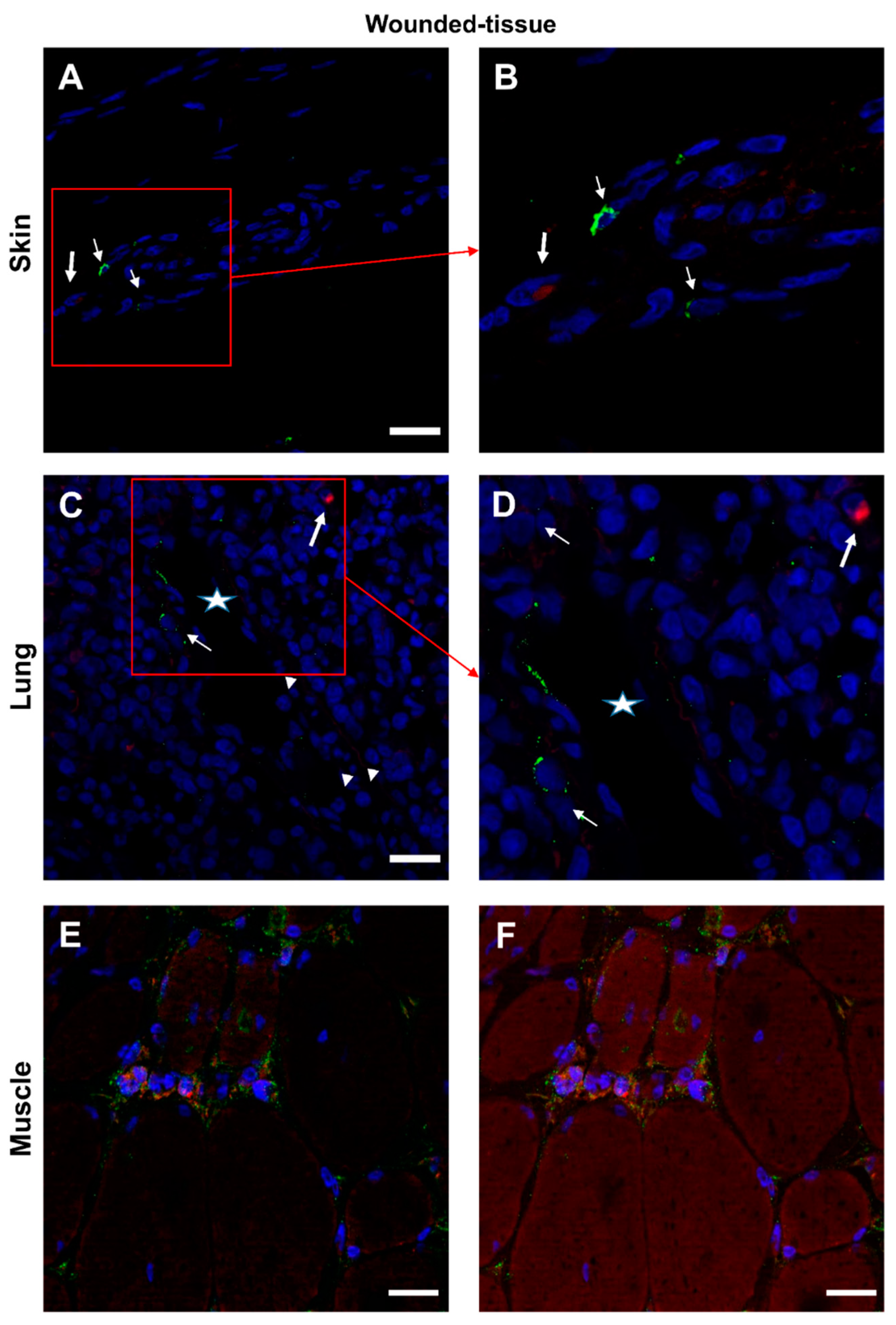 Preprints 71566 g008