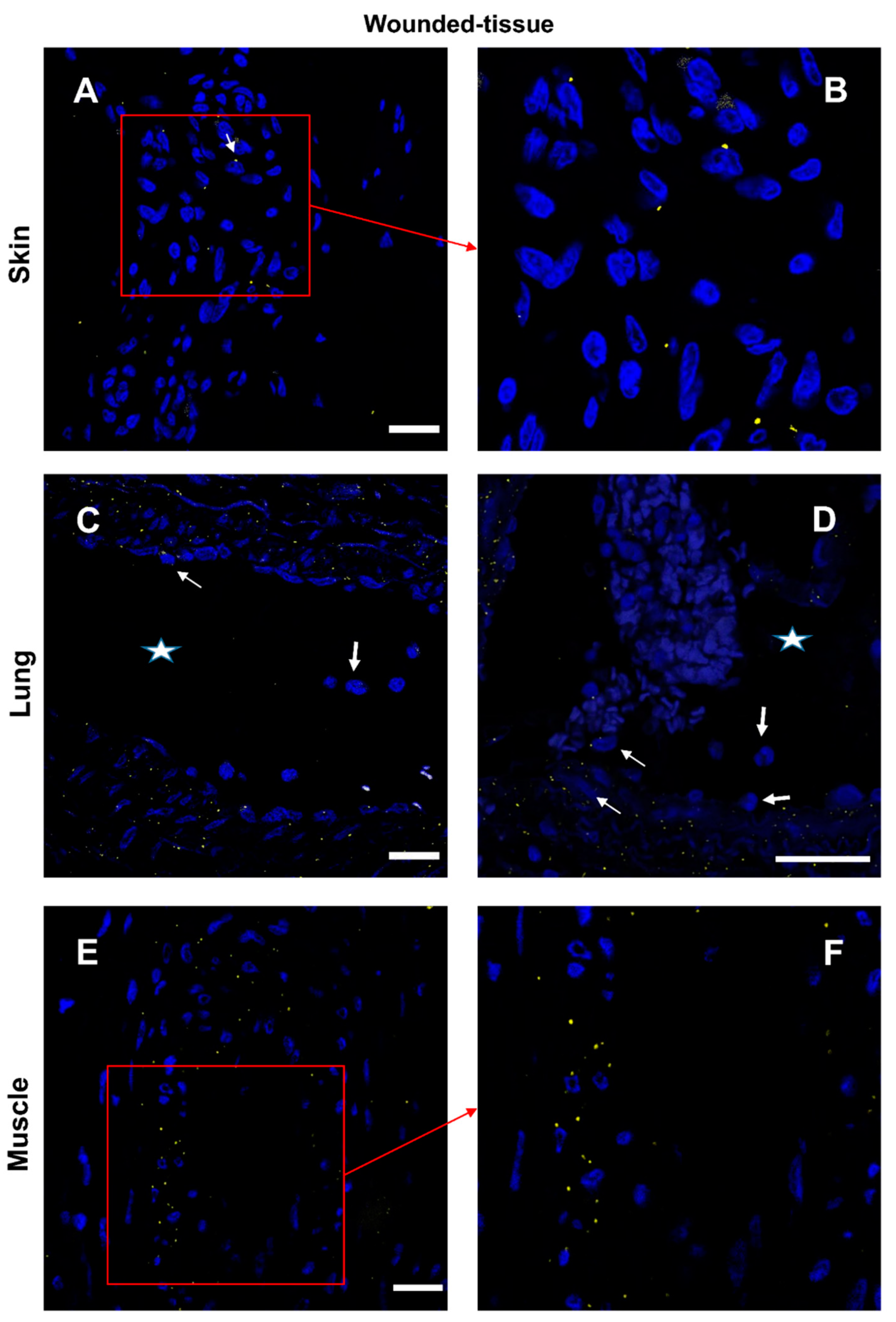 Preprints 71566 g009