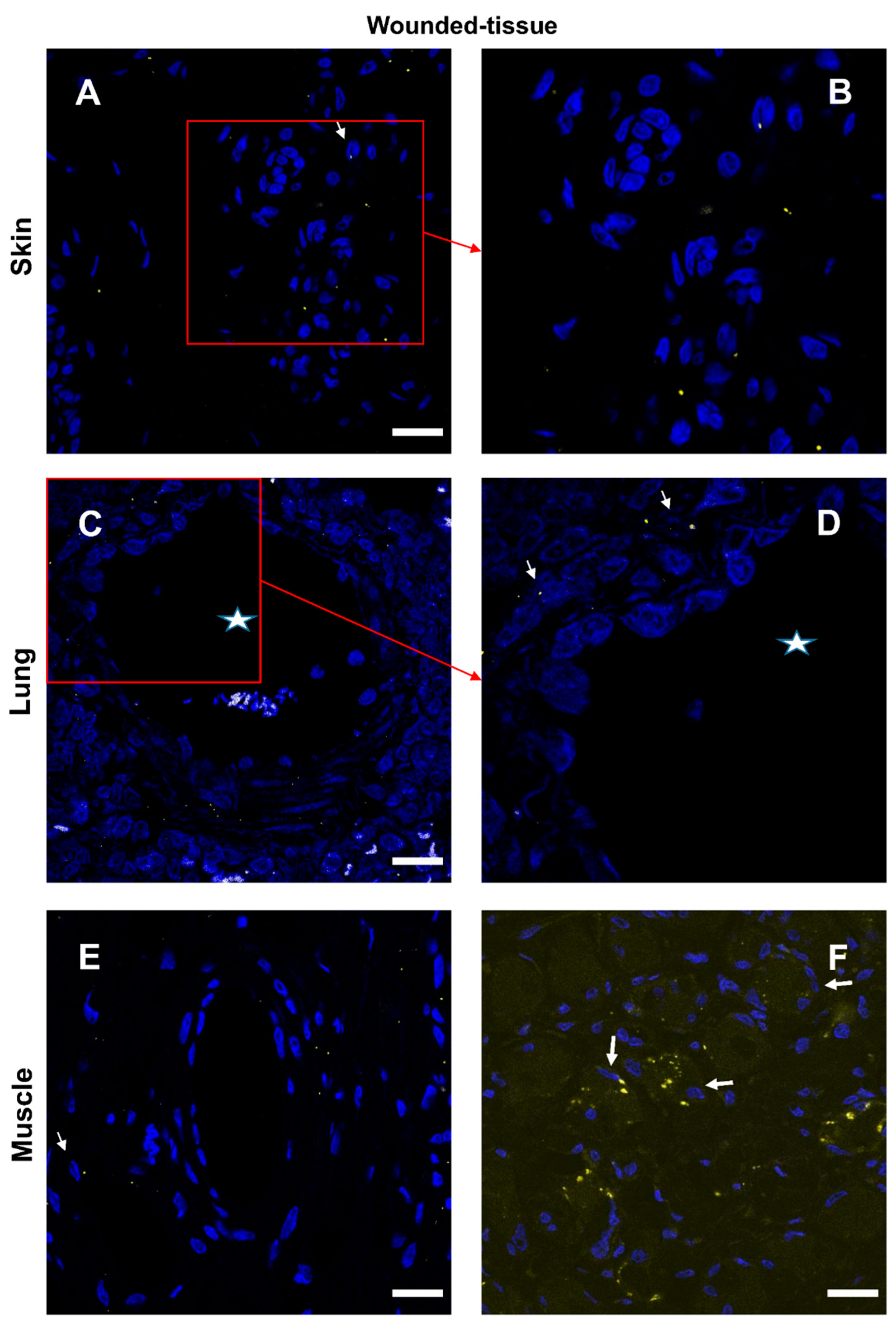 Preprints 71566 g010