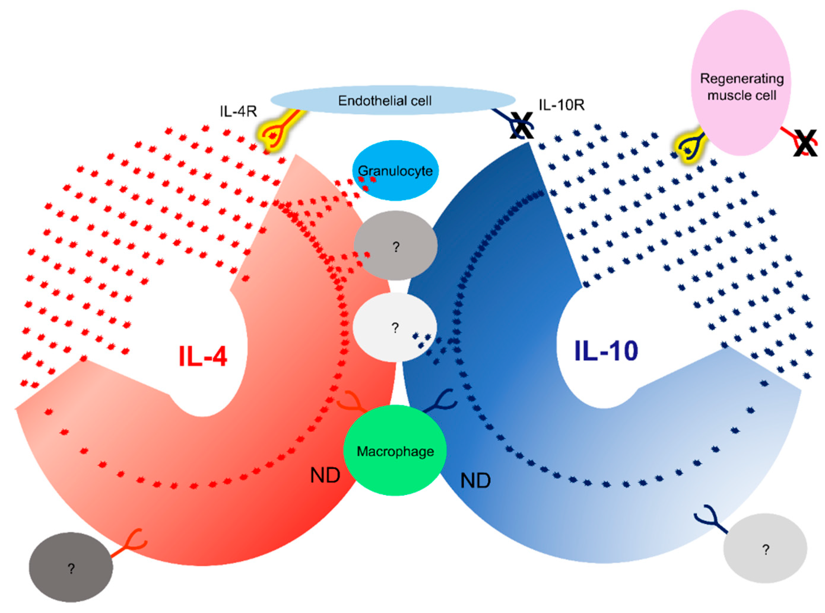 Preprints 71566 g011