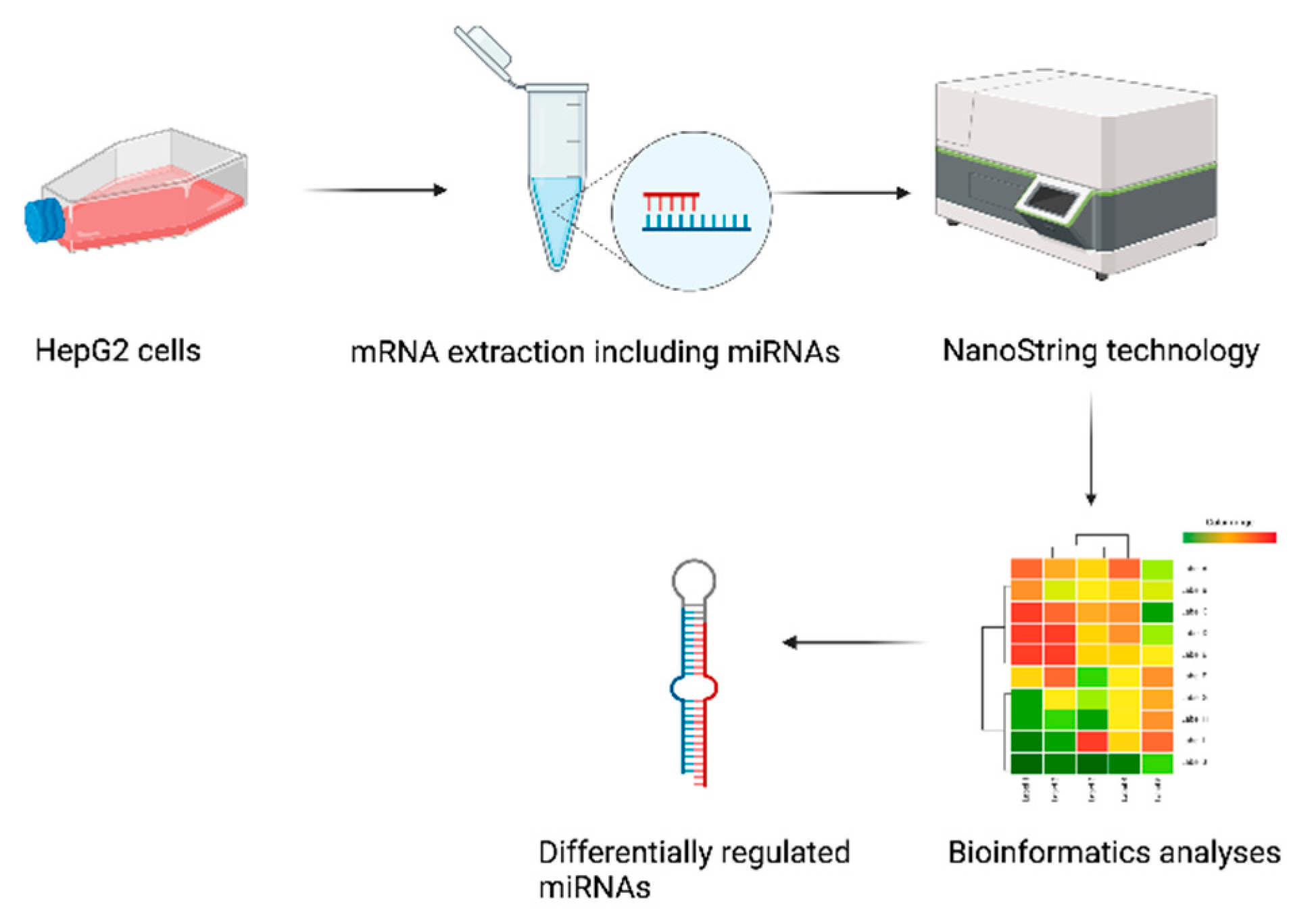 Preprints 76323 g001