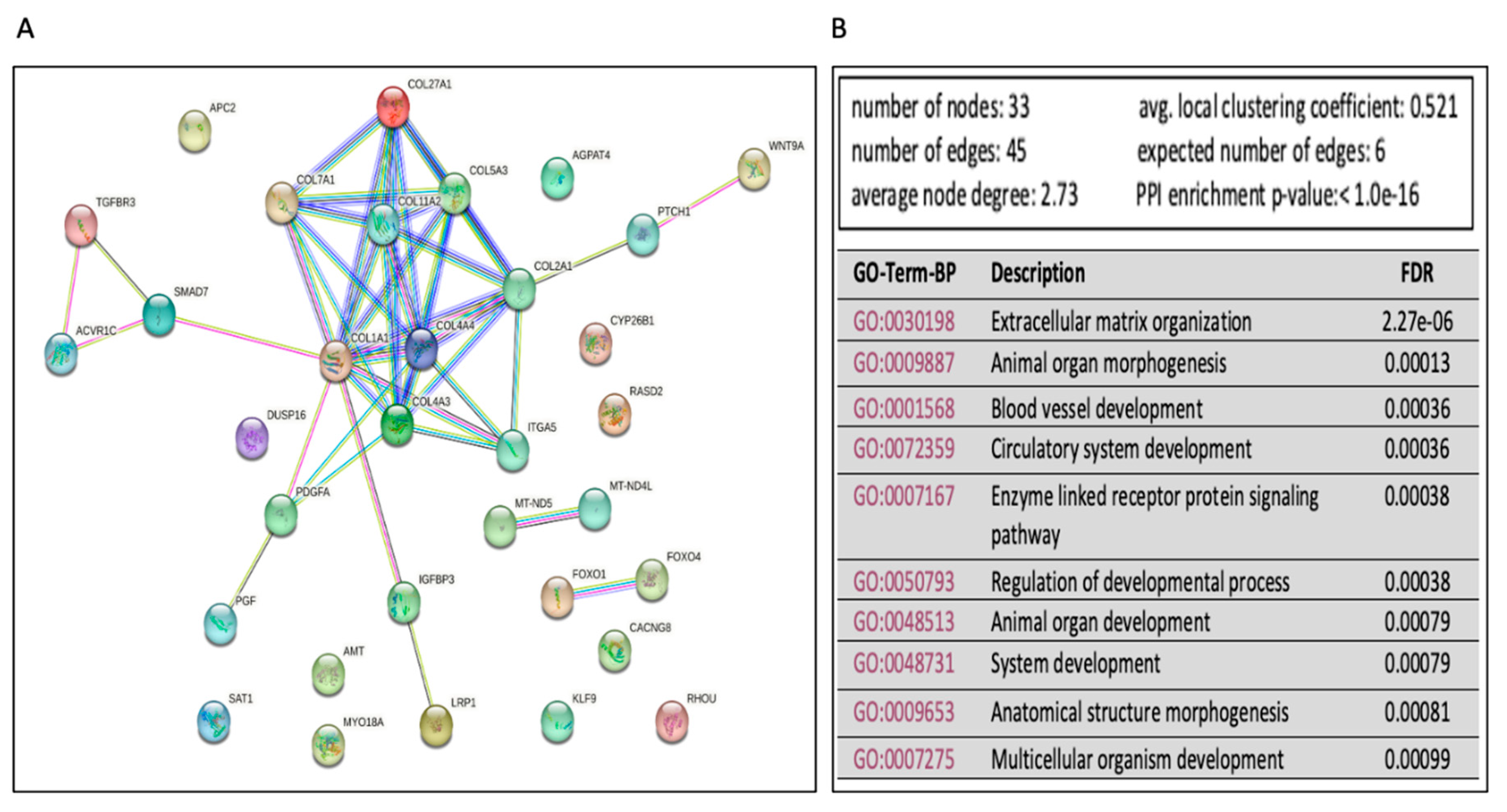 Preprints 76323 g006