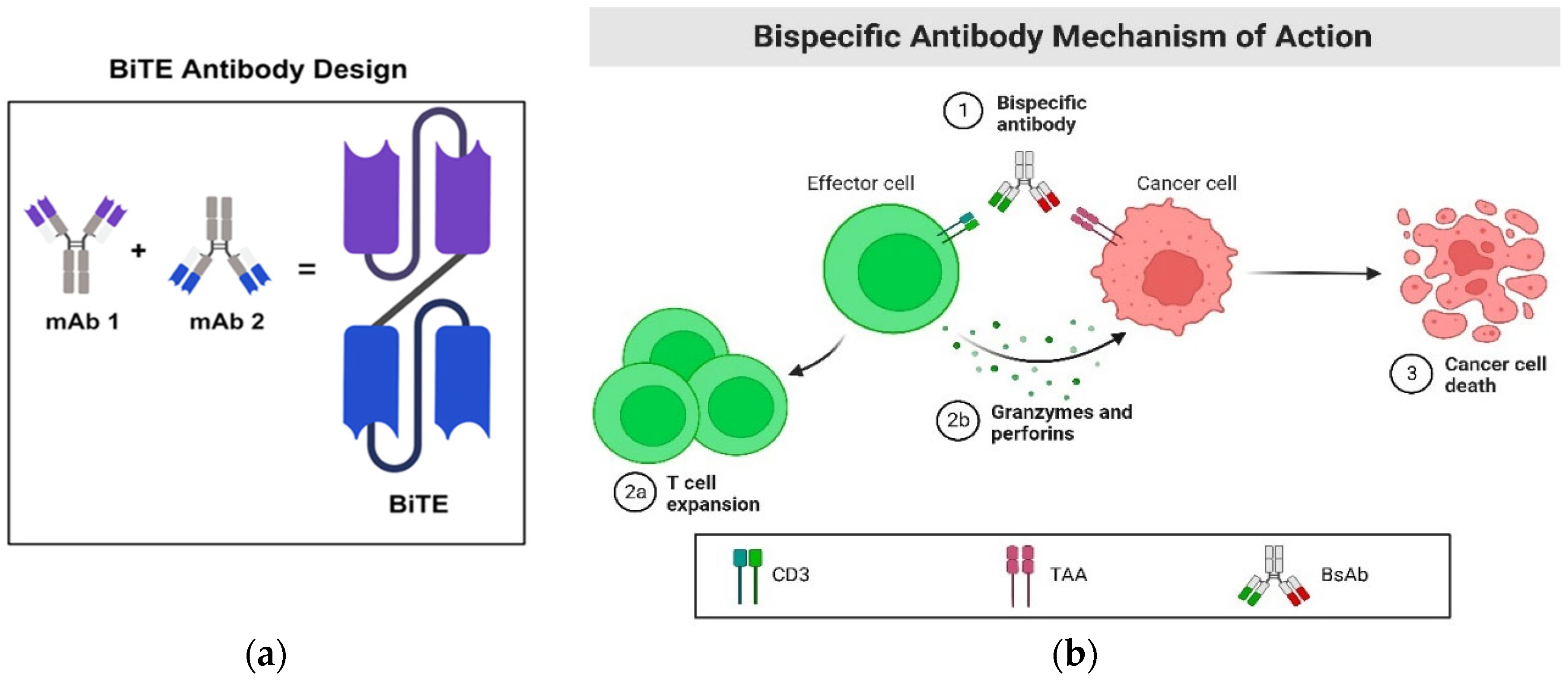 Preprints 97320 g001